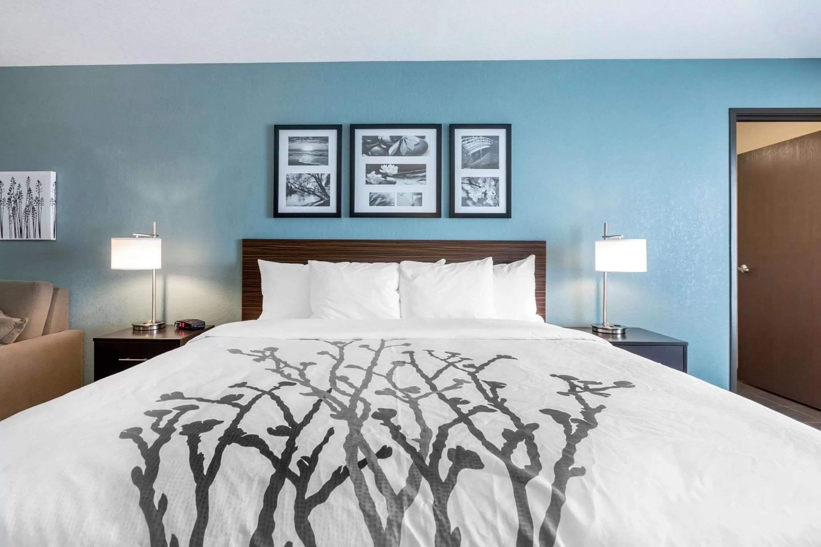 King Suite - Non-Smoking in Sleep Inn & Suites West Des Moines near Jordan Creek