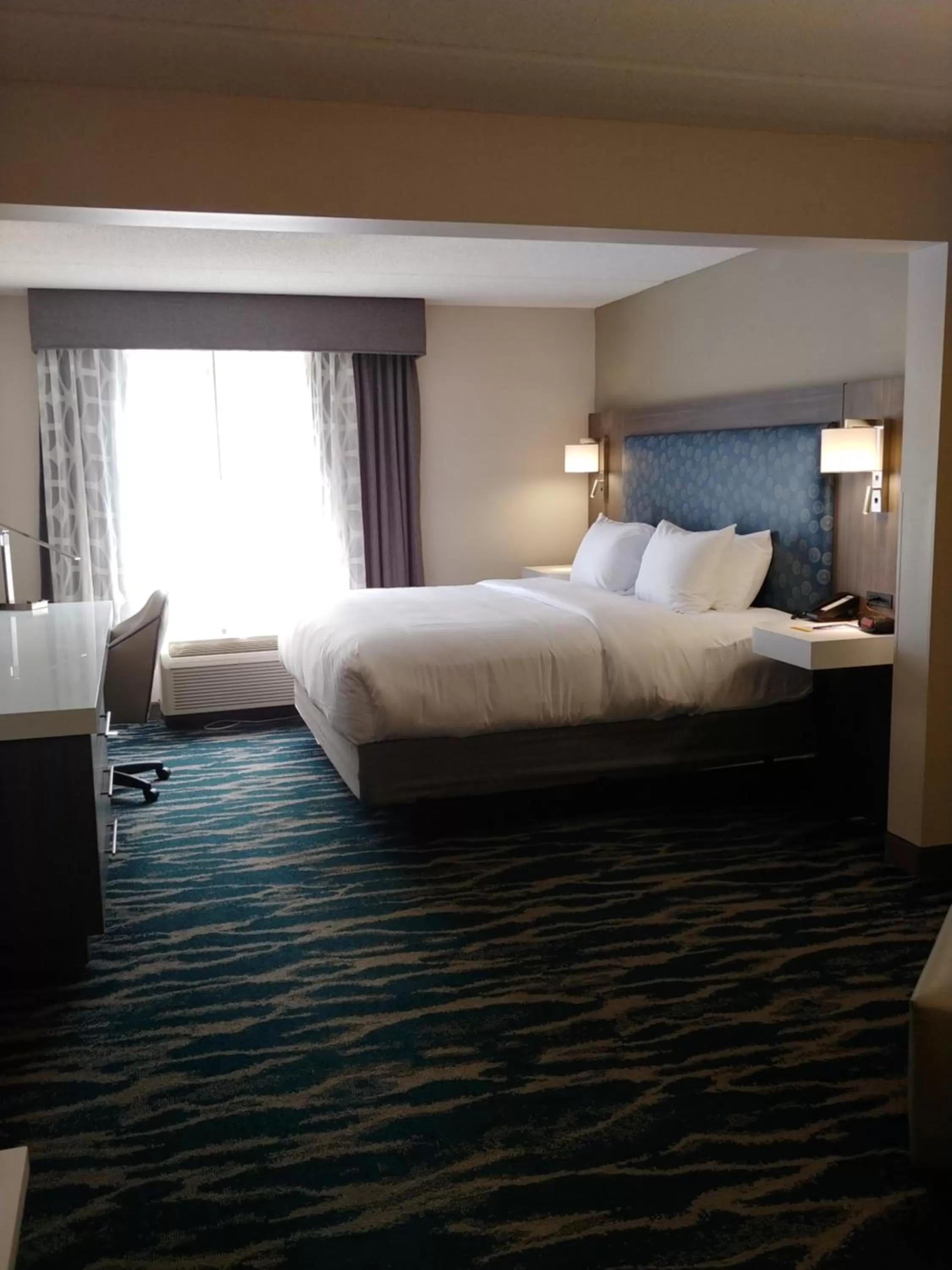King Suite - Non-Smoking in Comfort Inn & Suites Greenville Near Convention Center