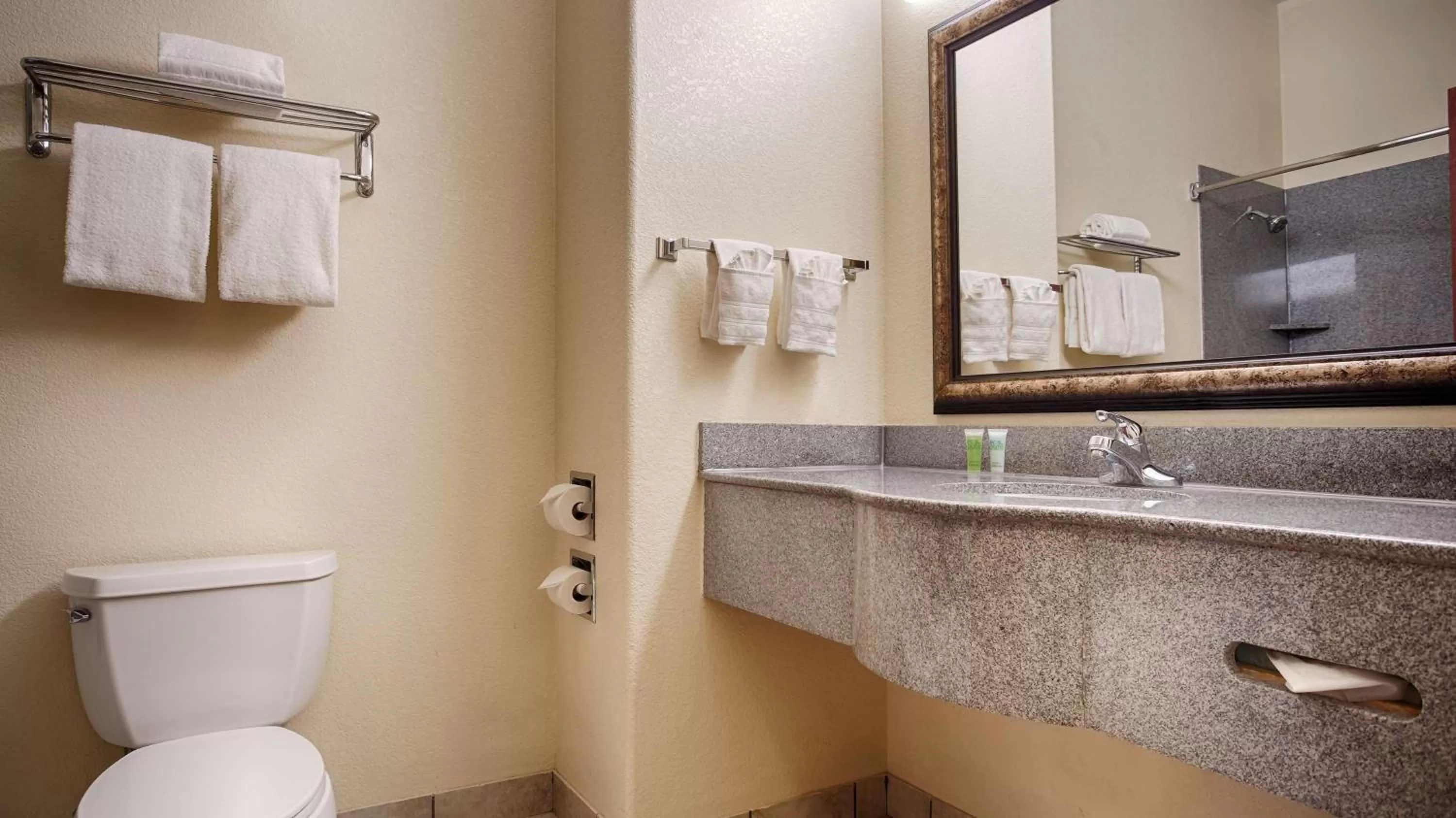 King Room with Mobility Accessible Roll-In Shower in Best Western Palace Inn & Suites
