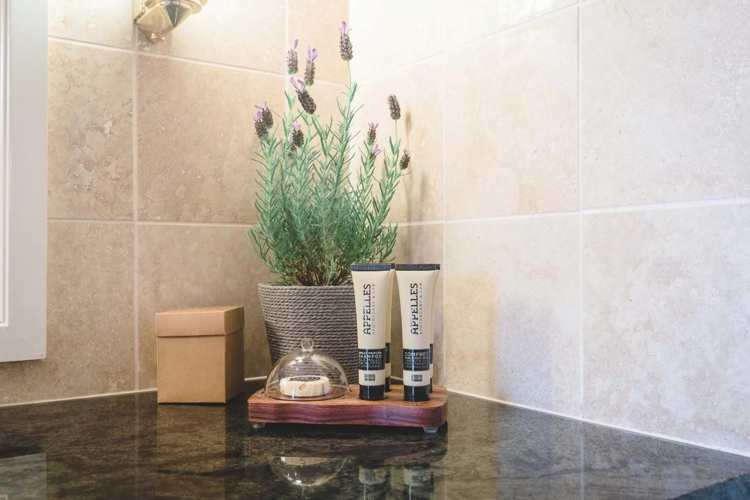  One-Bedroom Apartment with Garden View in The Sebel Noosa