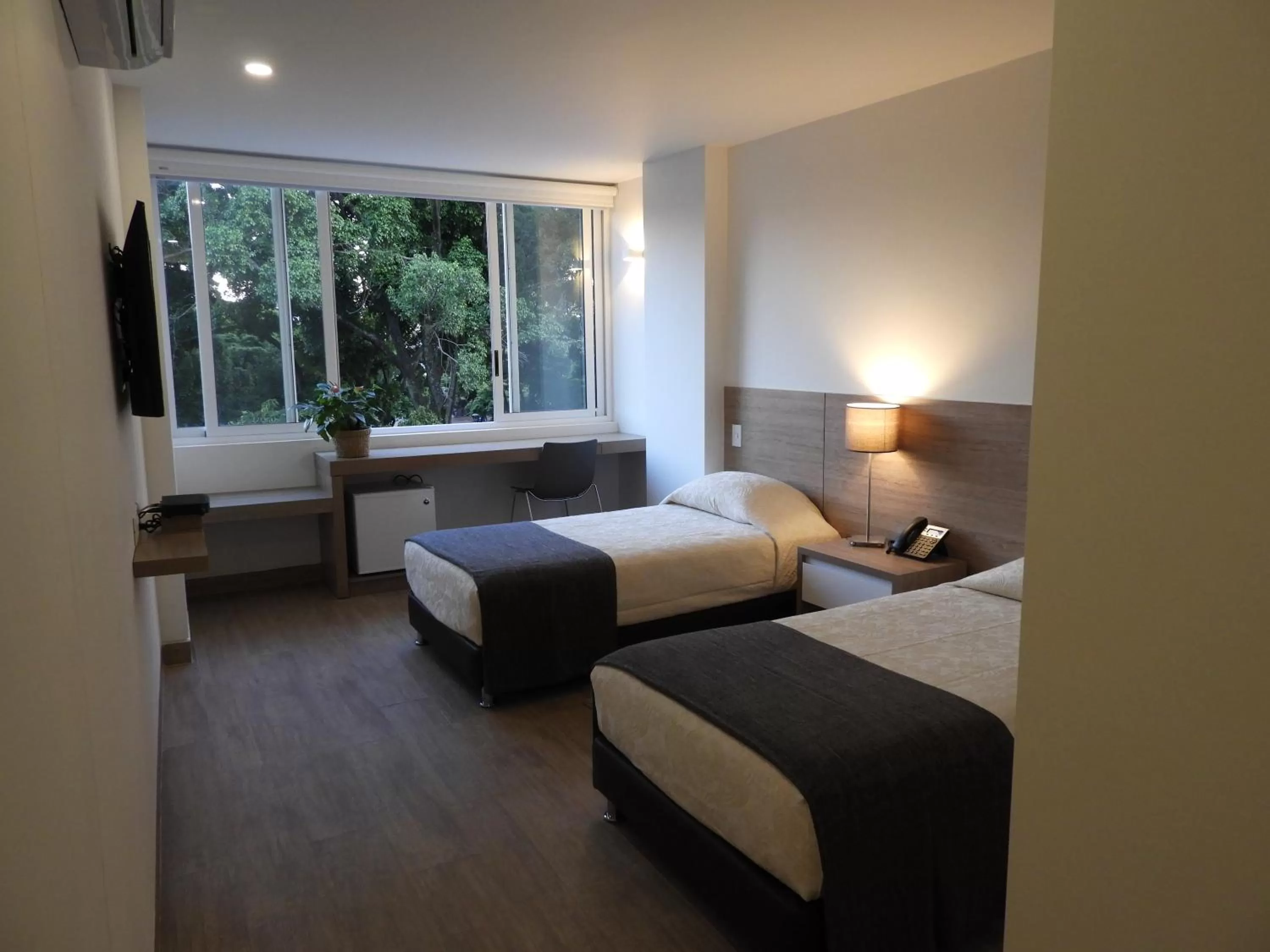 Superior Double Room in Park V