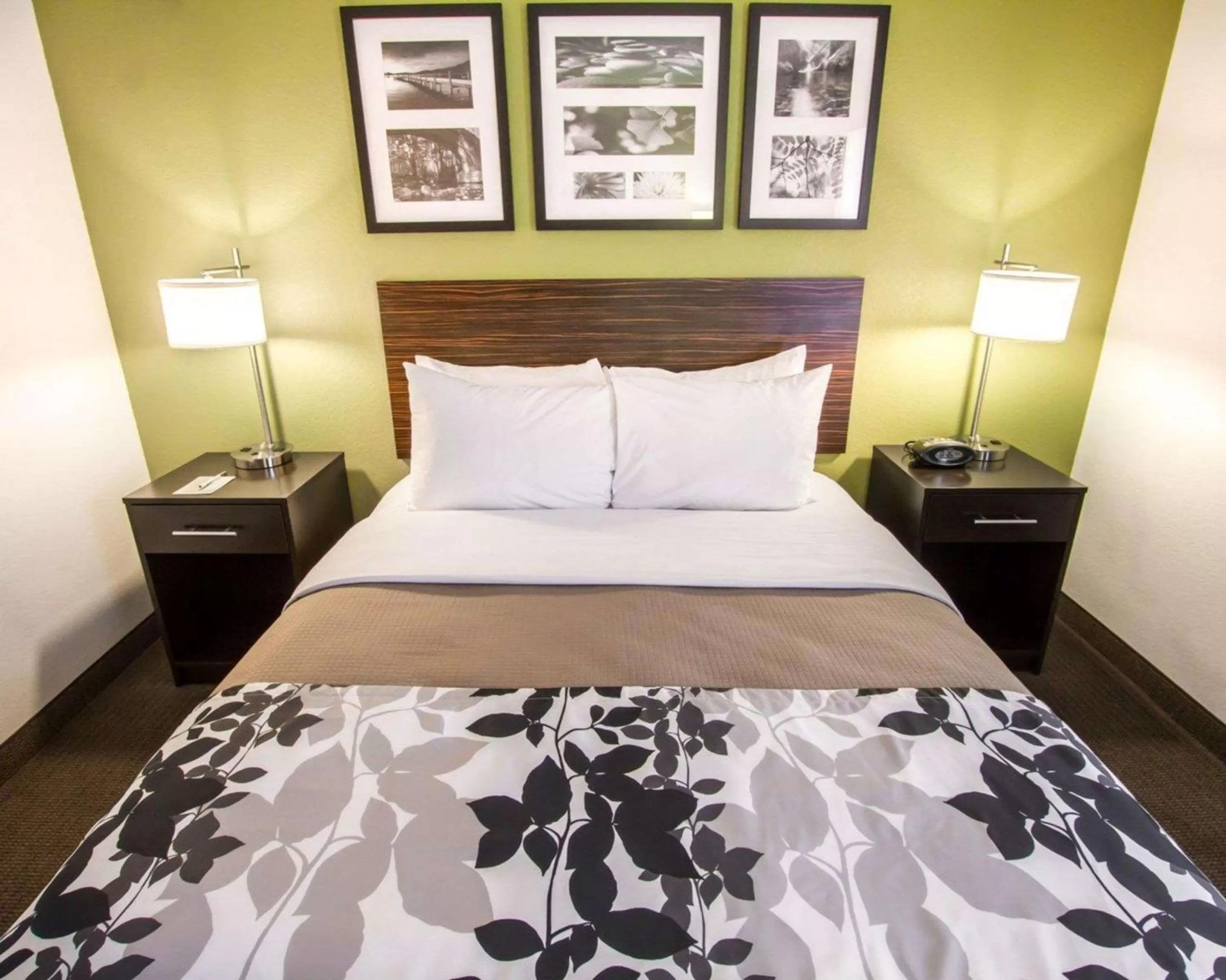 Queen Room - Mobility Accessible/Non-Smoking in Sleep Inn North Scottsdale near Mayo Clinic