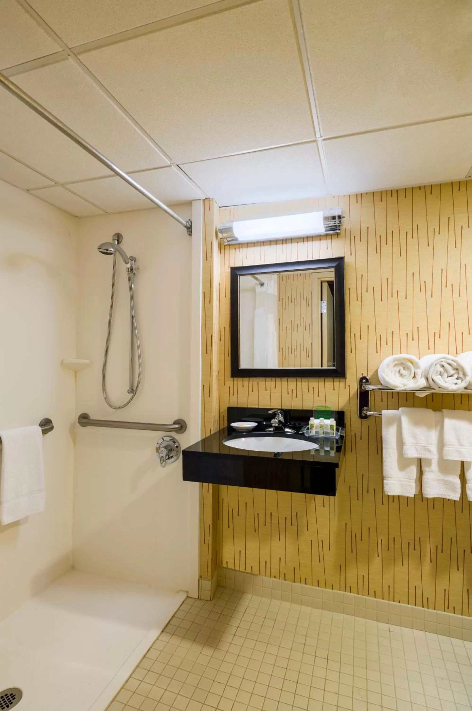 Standard Queen Room with Two Queen Beds and Roll-In Shower - Mobility Access in Holiday Inn Norwich by IHG