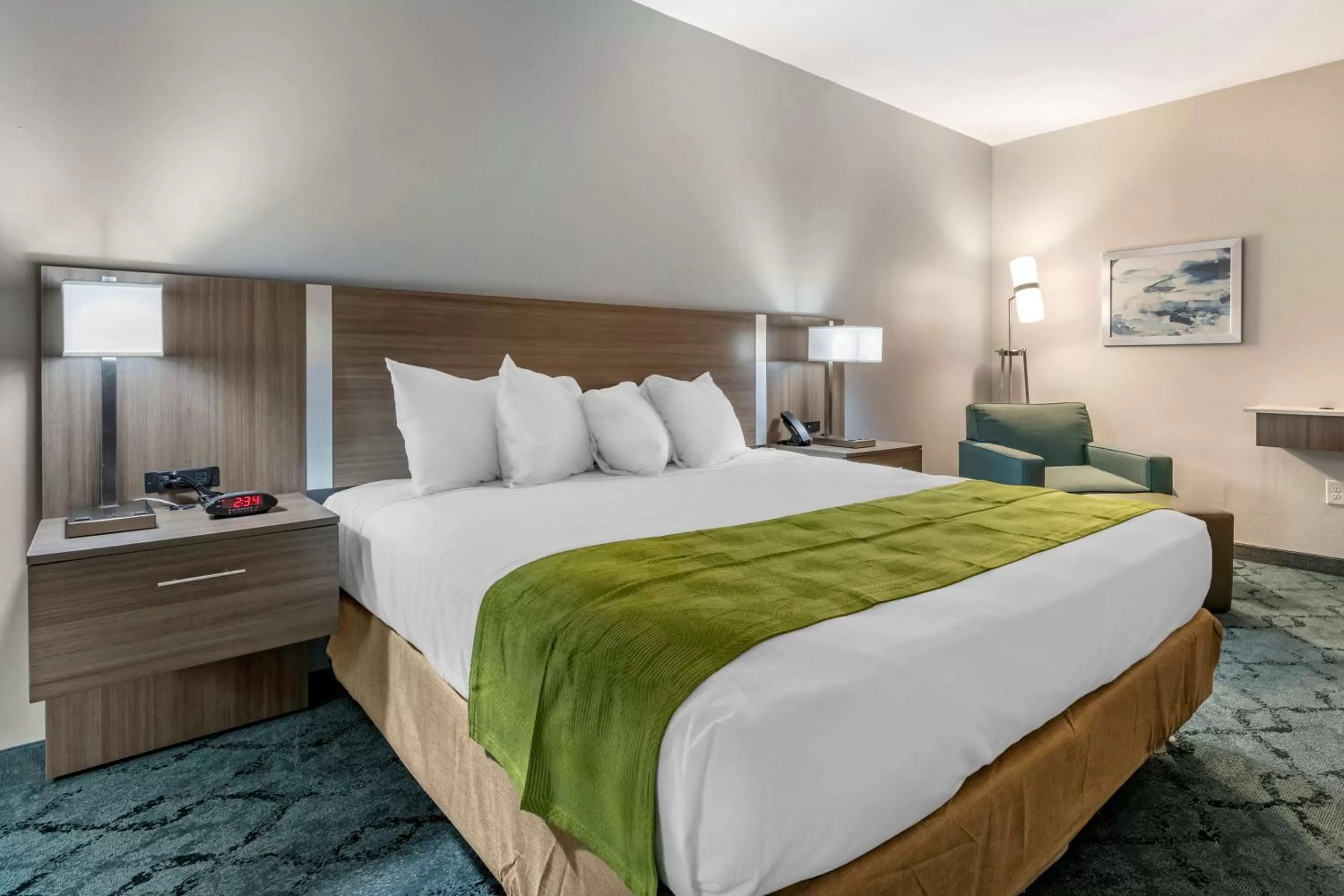 King Room with Roll-In Shower - Disability Access in Best Western Plus Lakeland