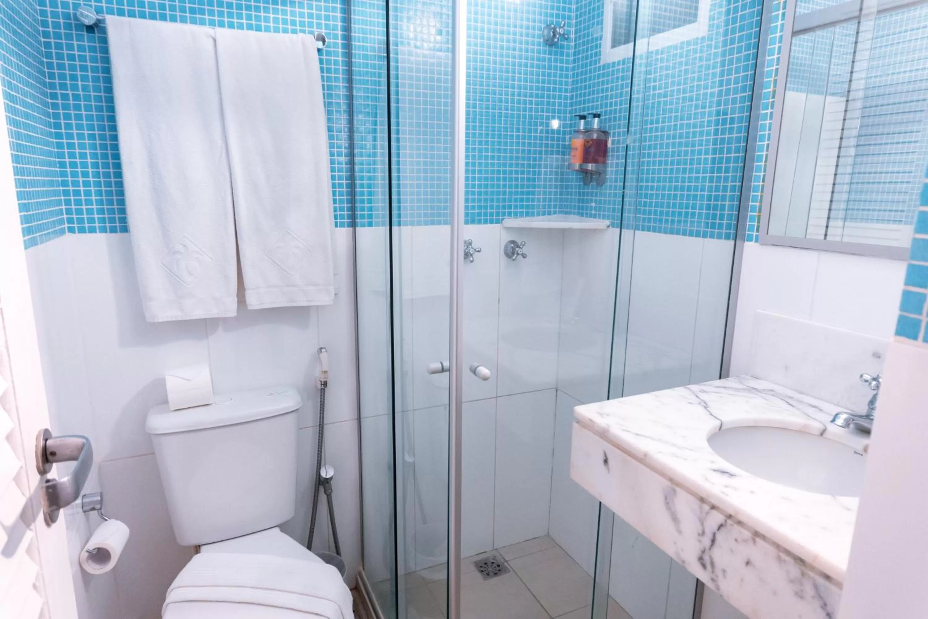 Double Room - single occupancy in Malibu Plaza Hotel