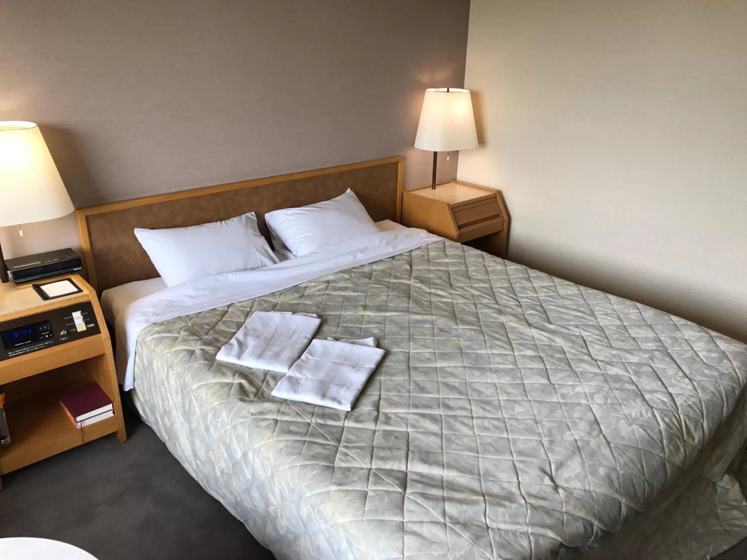 King Double Room - Non-Smoking in Hotel Grand Terrace Chitose