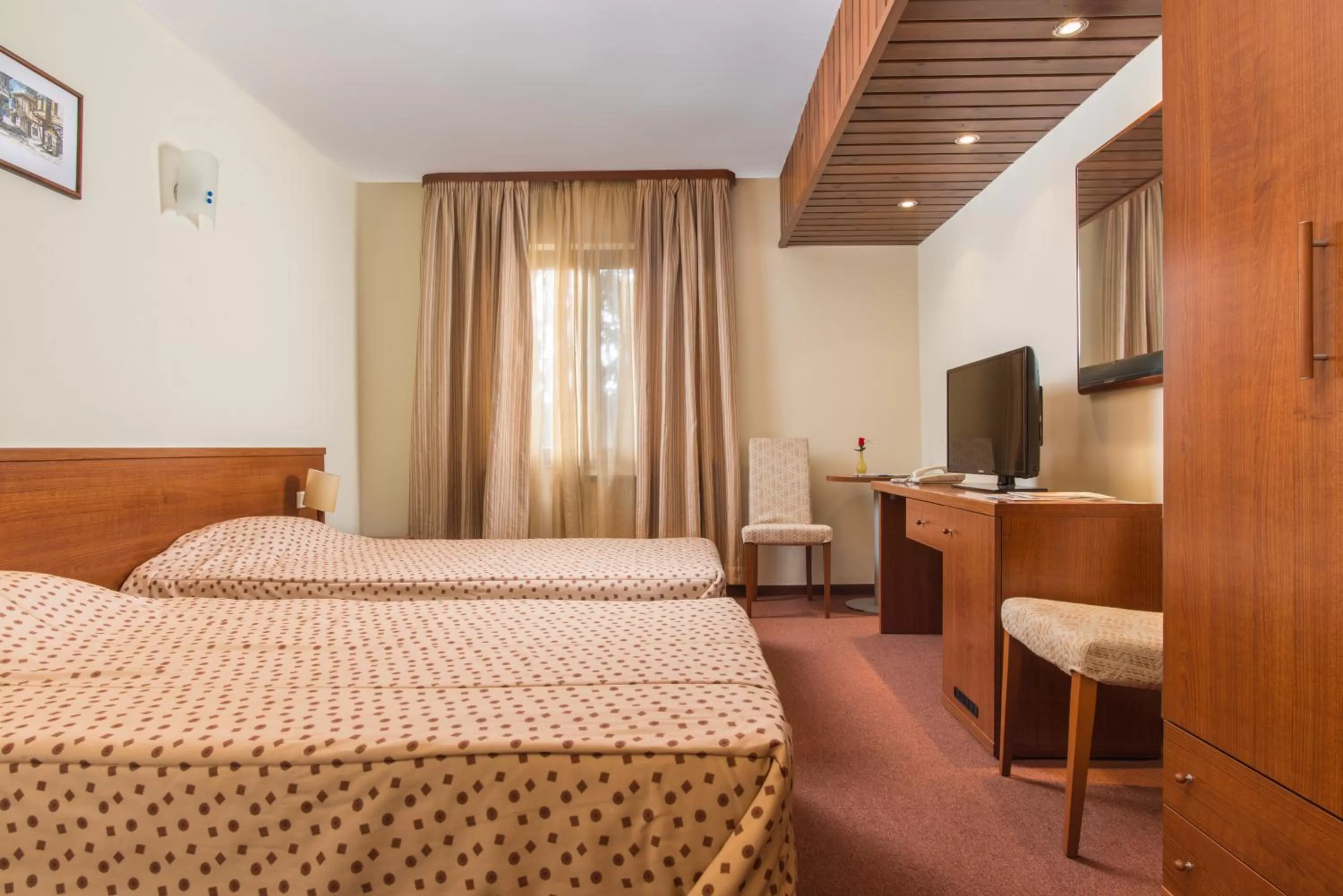 Double or Twin Room in Hotel Pirin