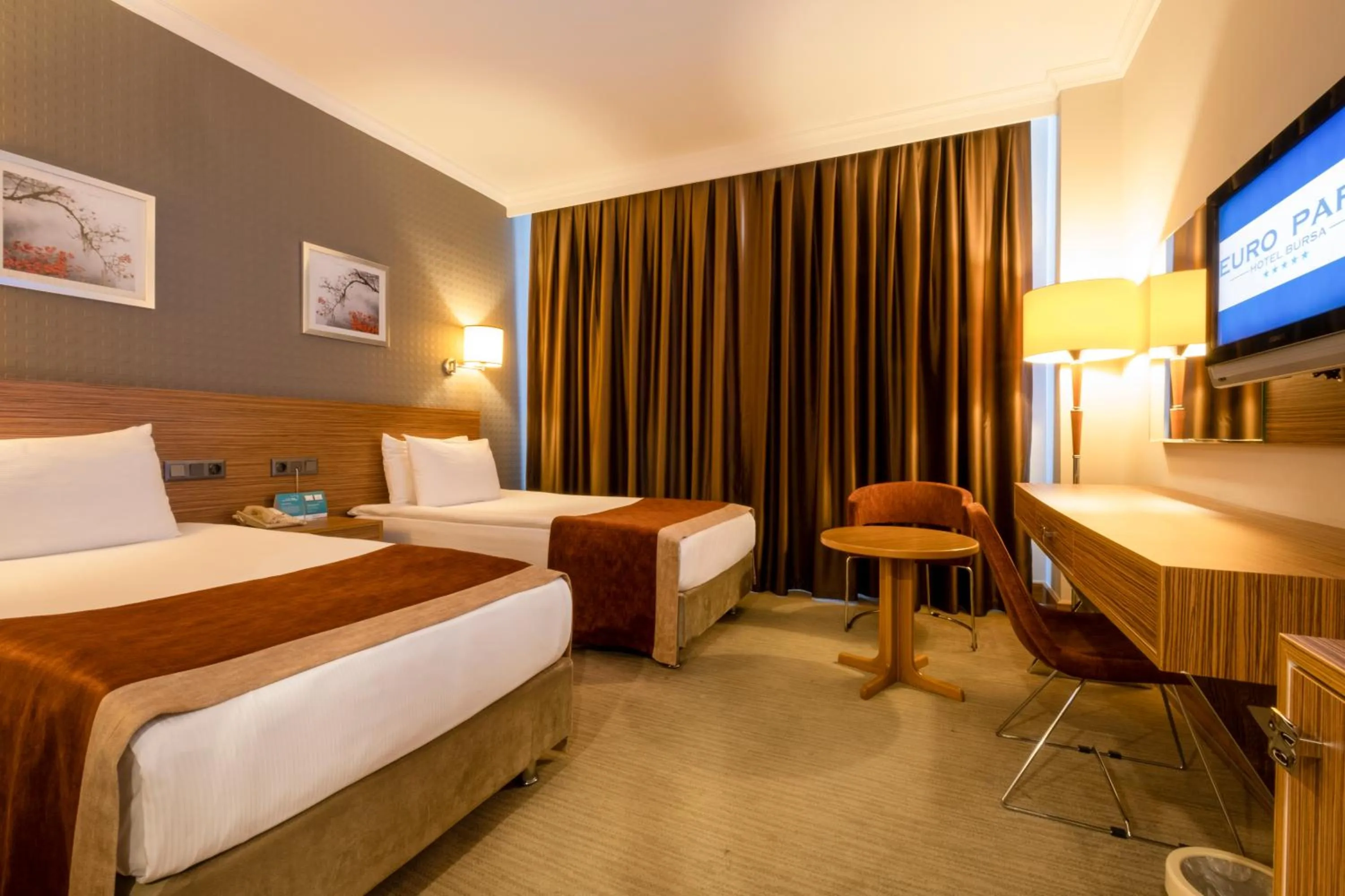 Standard Double or Twin Room in Euro Park Hotel Bursa
