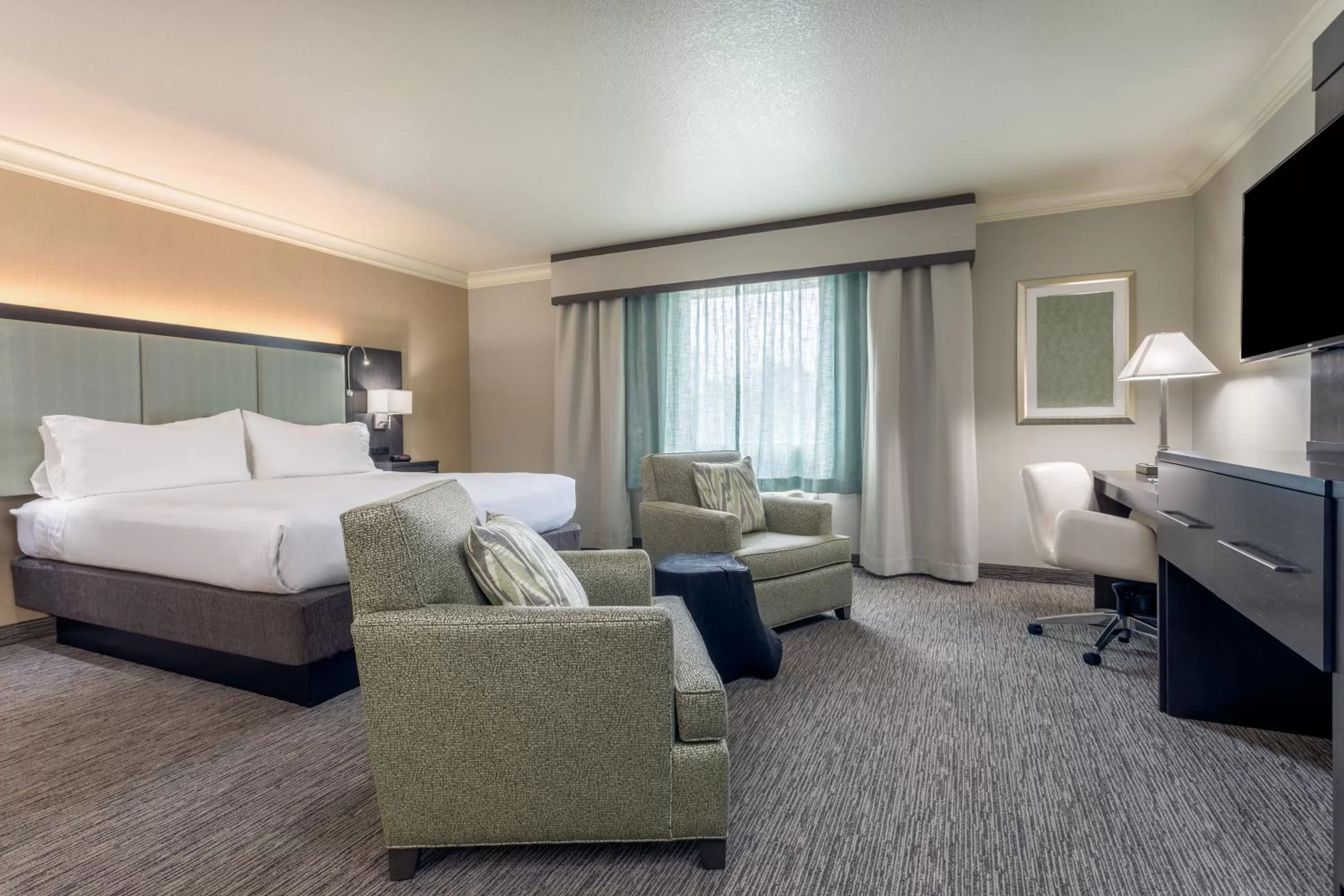 Executive King Room - Non-Smoking in Holiday Inn Auburn by IHG