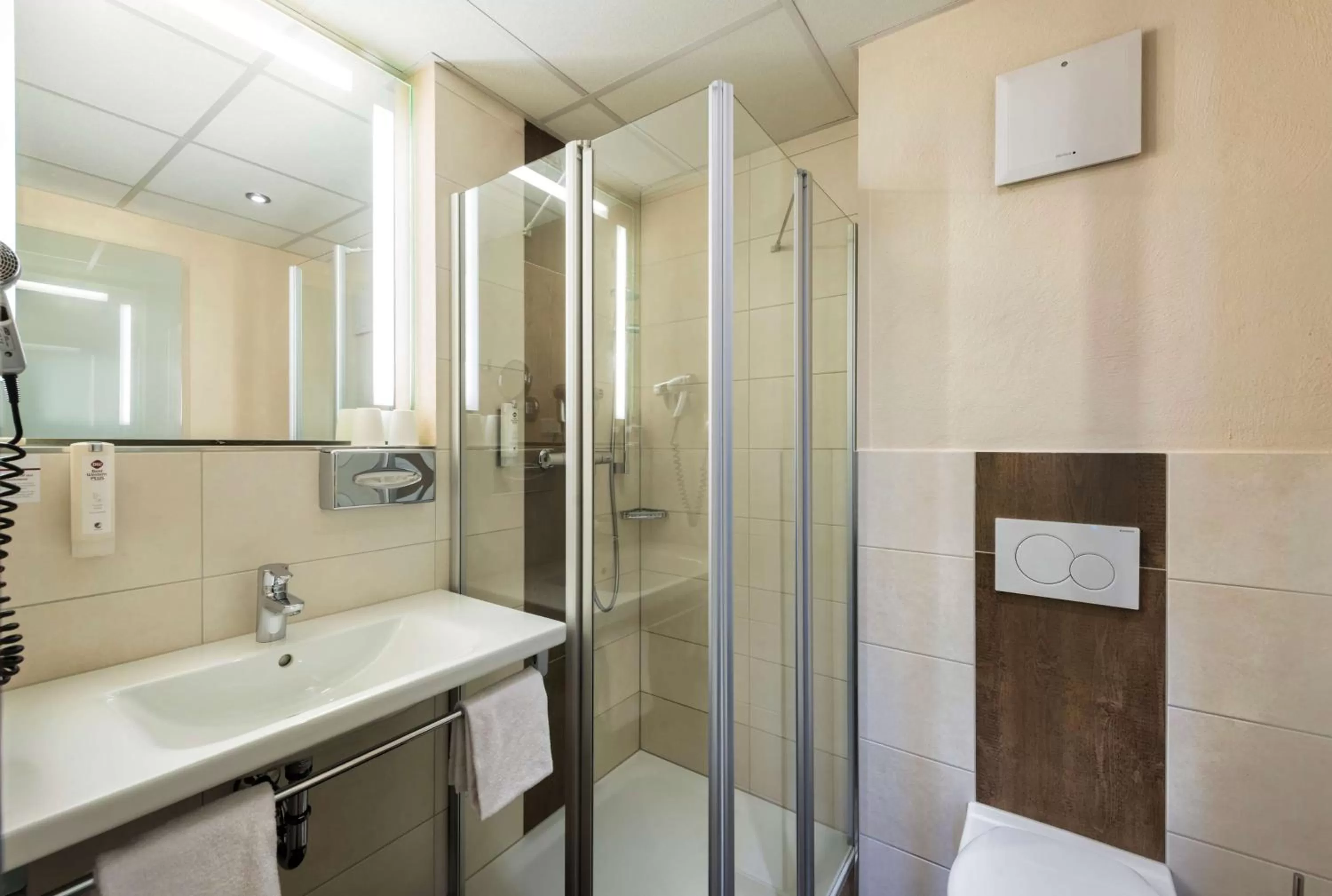 Standard Double Room in Best Western Plus Hotel Willingen