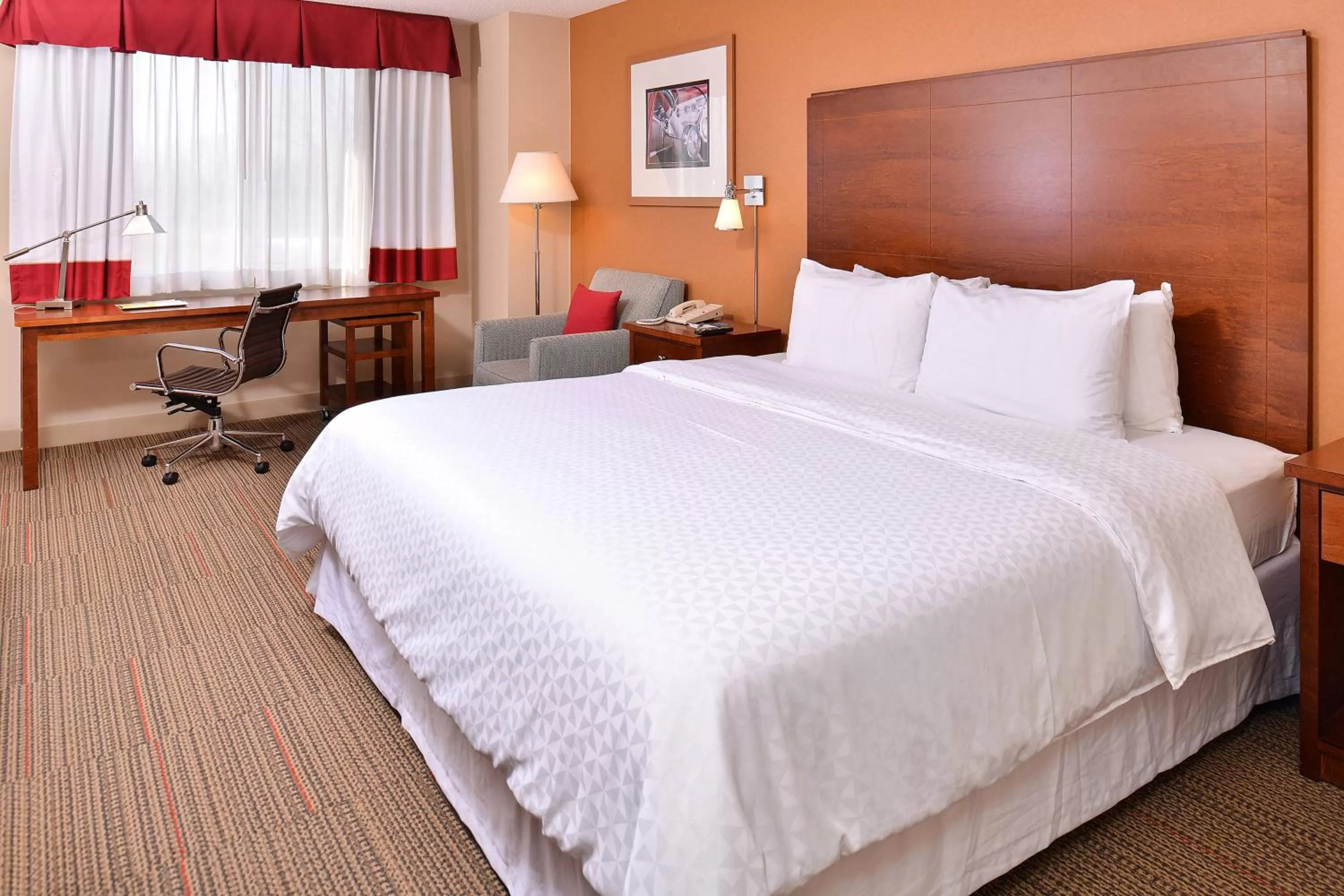Queen Room - Disability Access/Non Smoking in Radisson Hotel Detroit Metro Airport