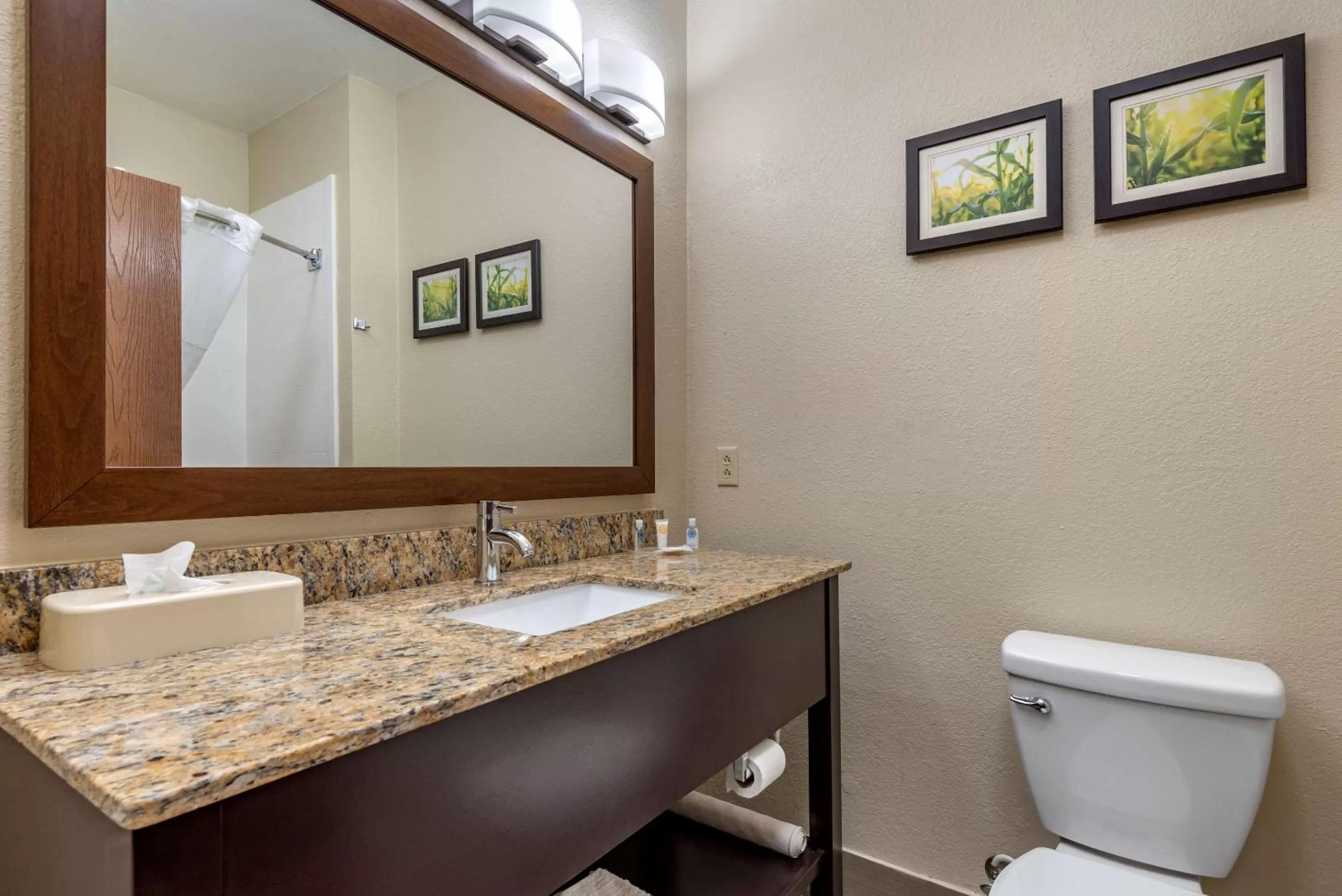 Queen Suite with Two Queen Beds - Non-Smoking in Comfort Suites Auburn near I-69