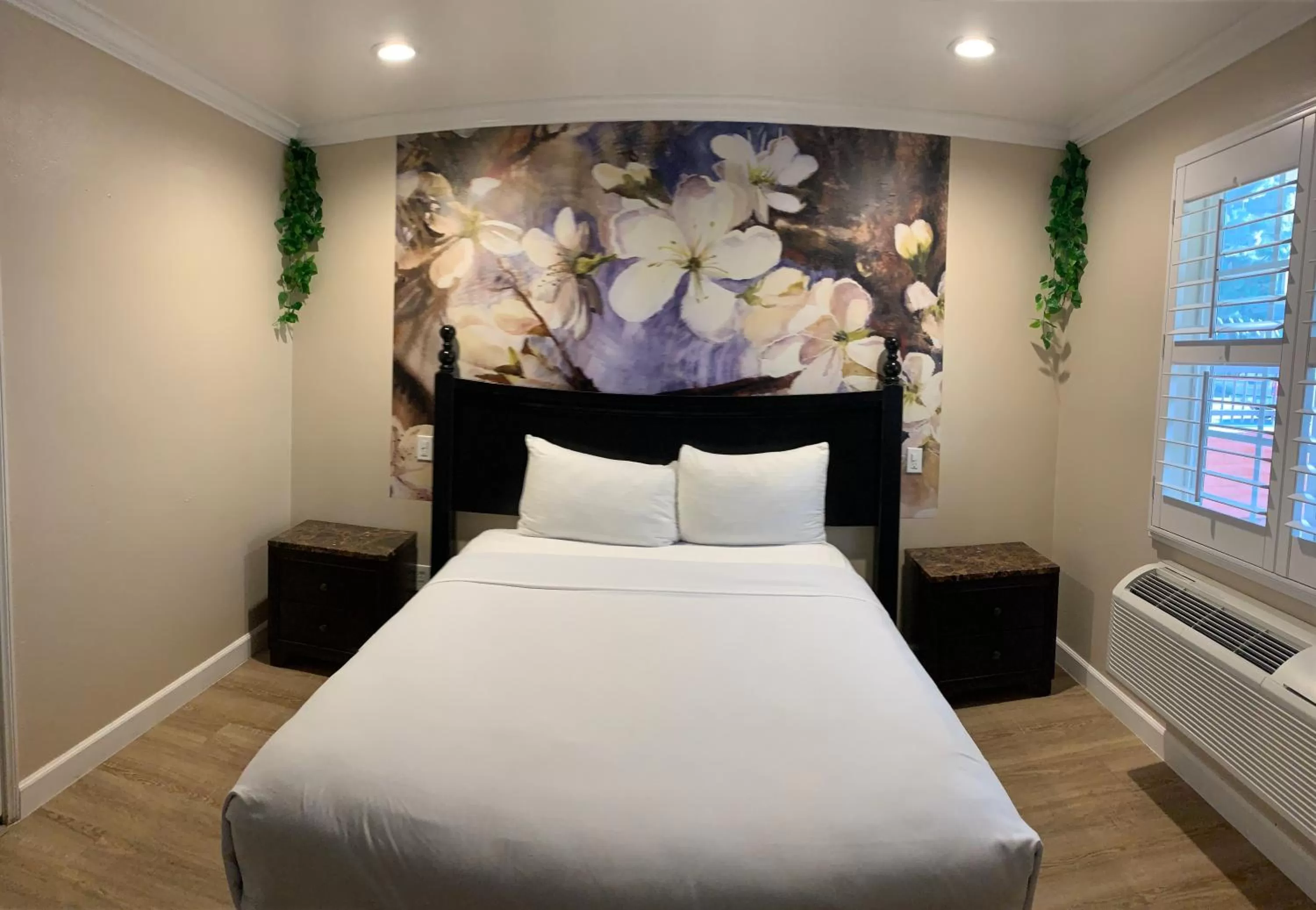 Single Room - Disability Access in Escondido Inn