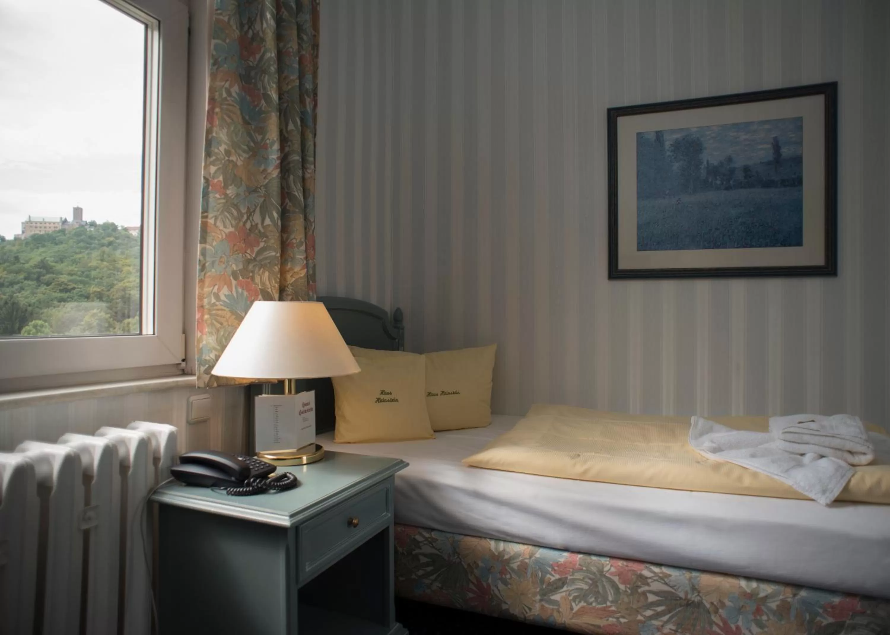 Single Room in Haus Hainstein