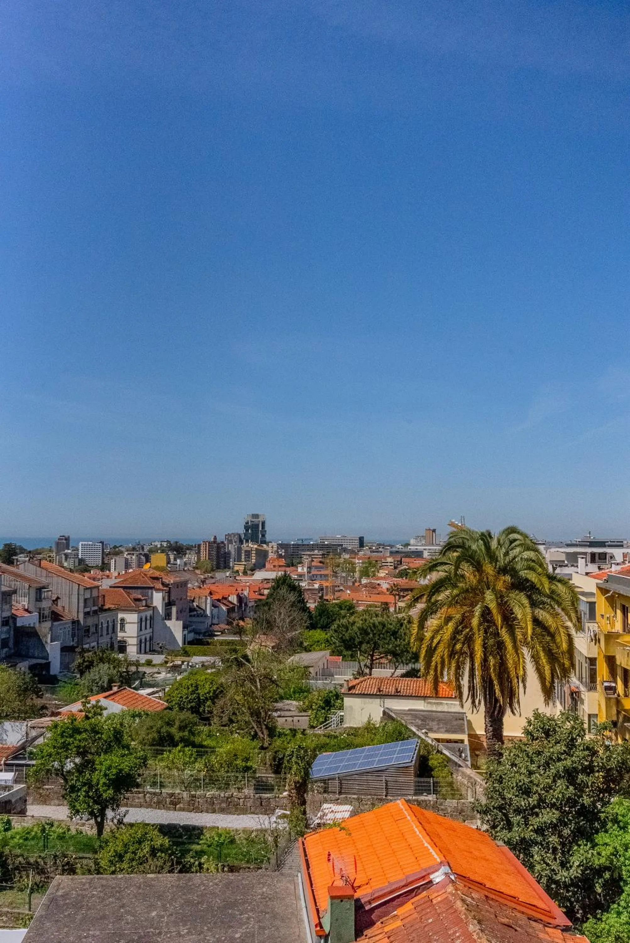 View (from property/room) in The Rex Hotel Porto - Mansion House - Private Parking