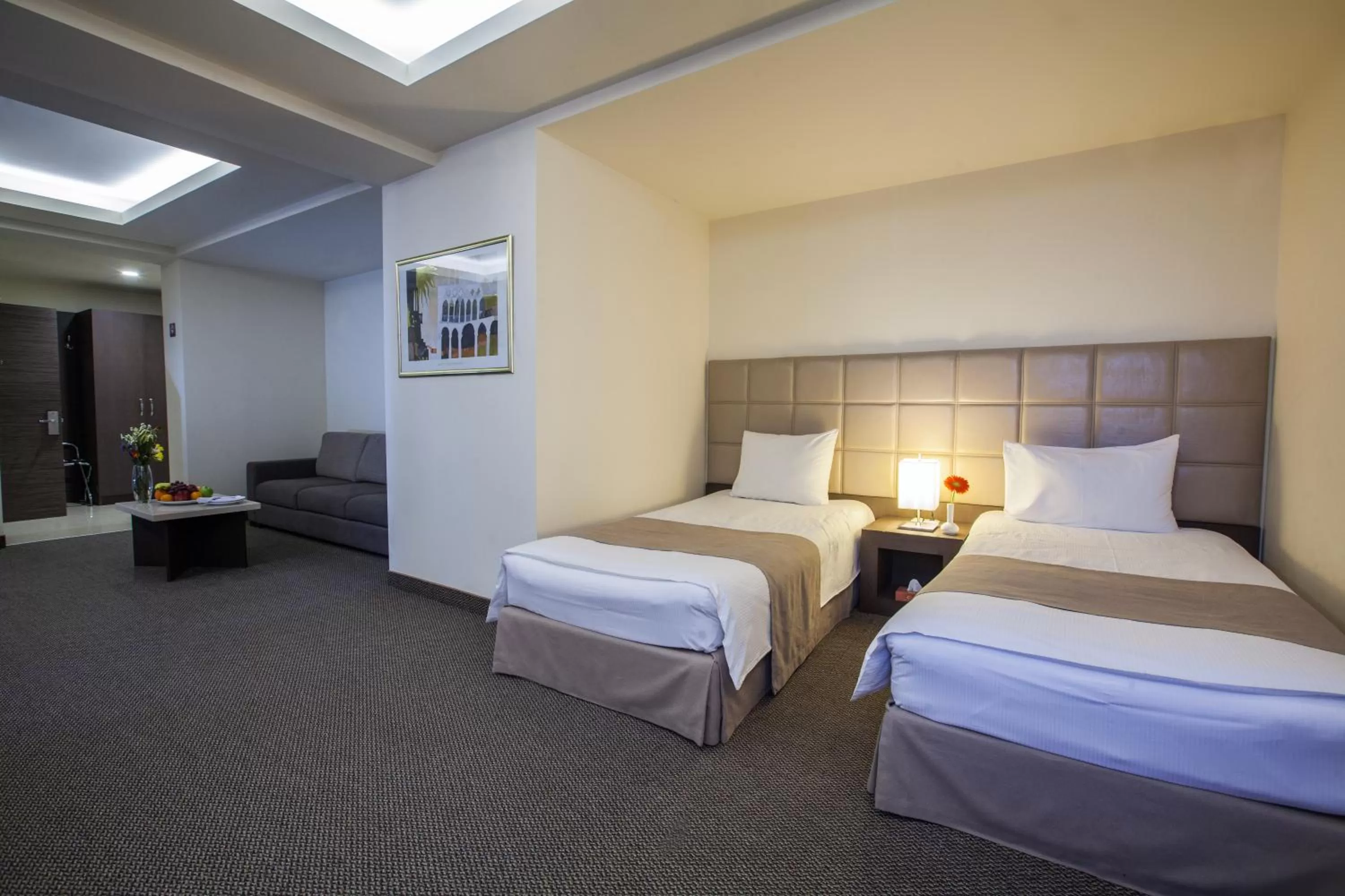Deluxe Double or Twin Room in Aviatrans Hotel