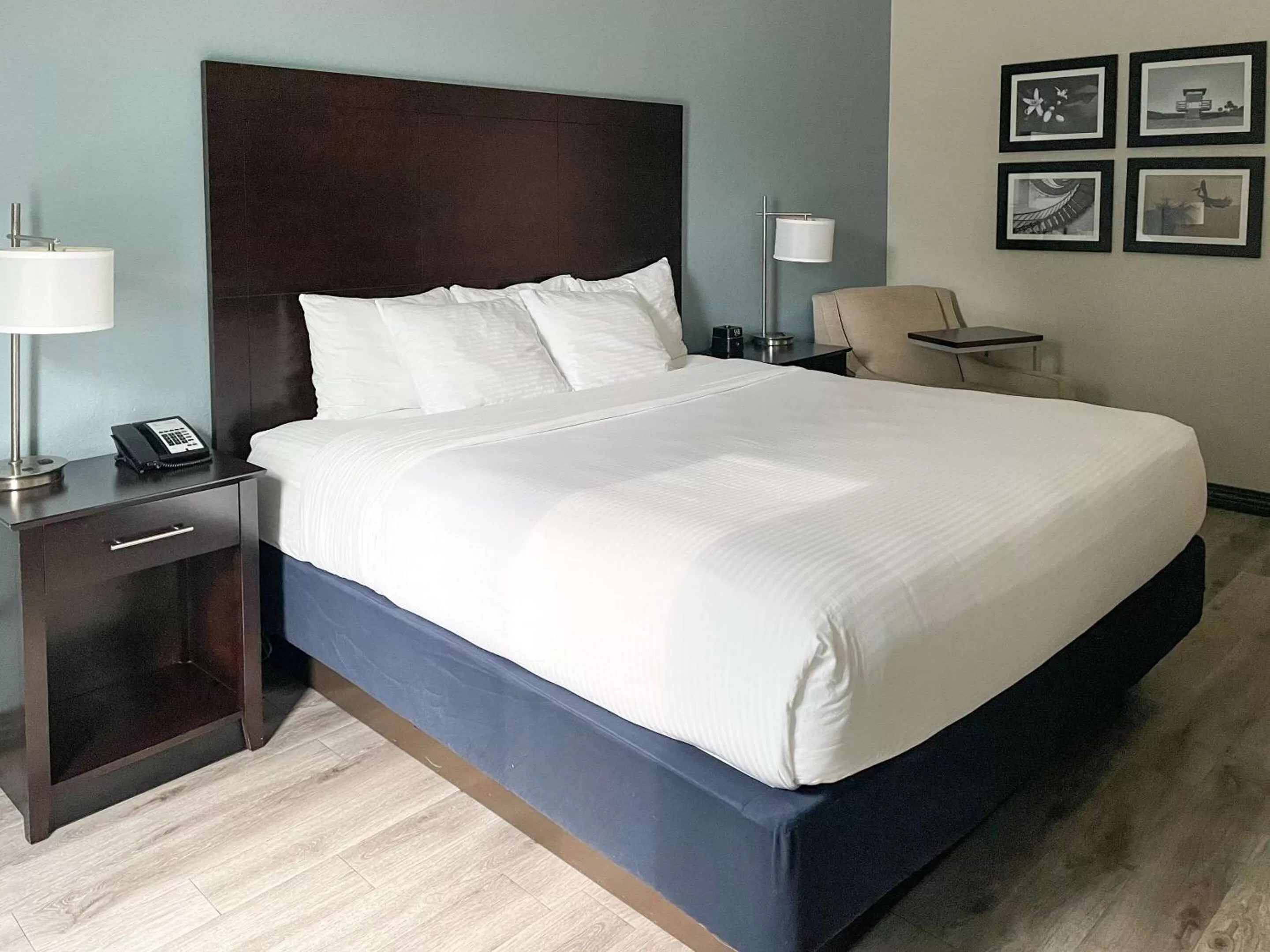 King Room - Accessible/Non Smoking in Comfort Inn & Suites Melbourne-Viera