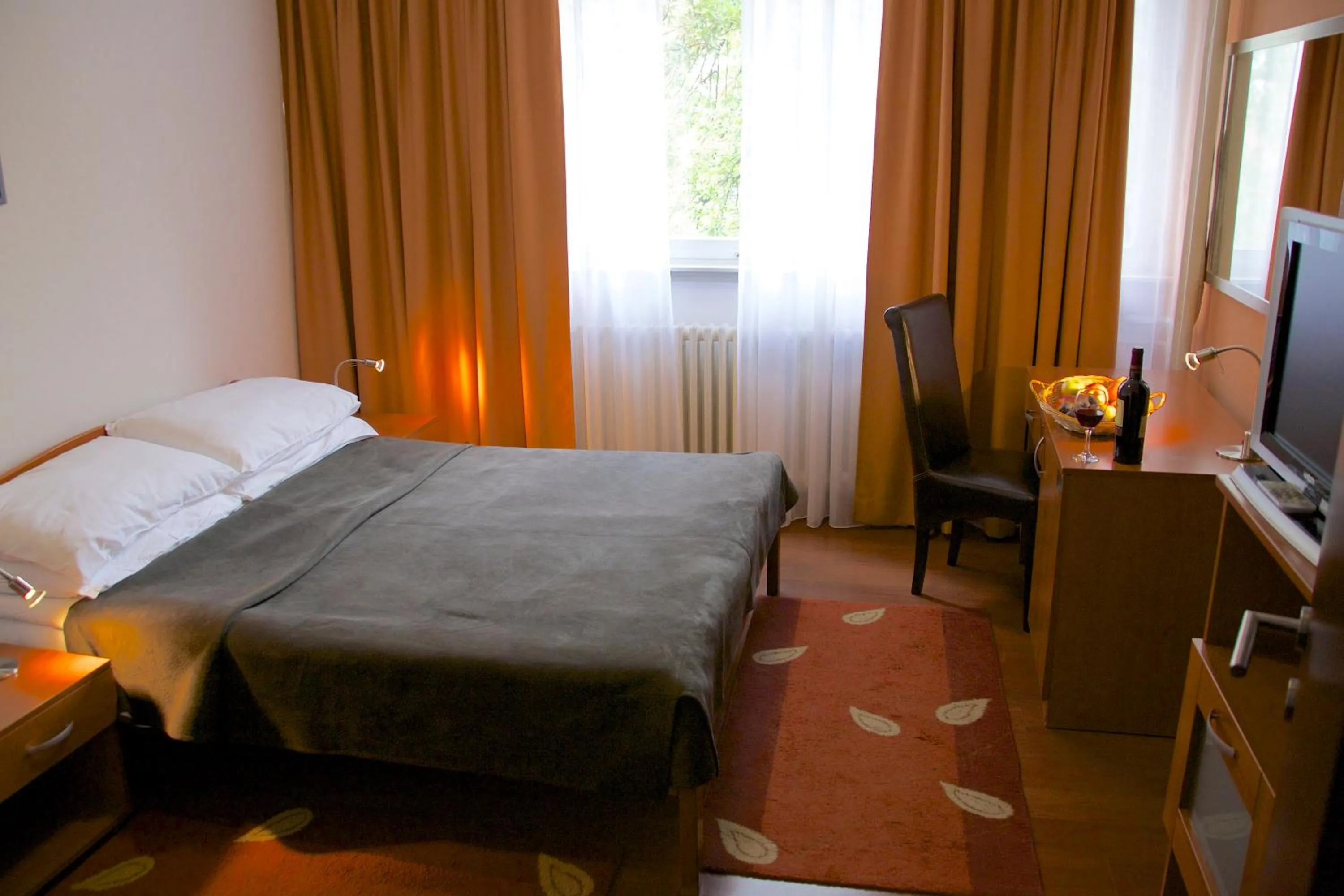 Double Room with Free Parking in Hotel Srbija