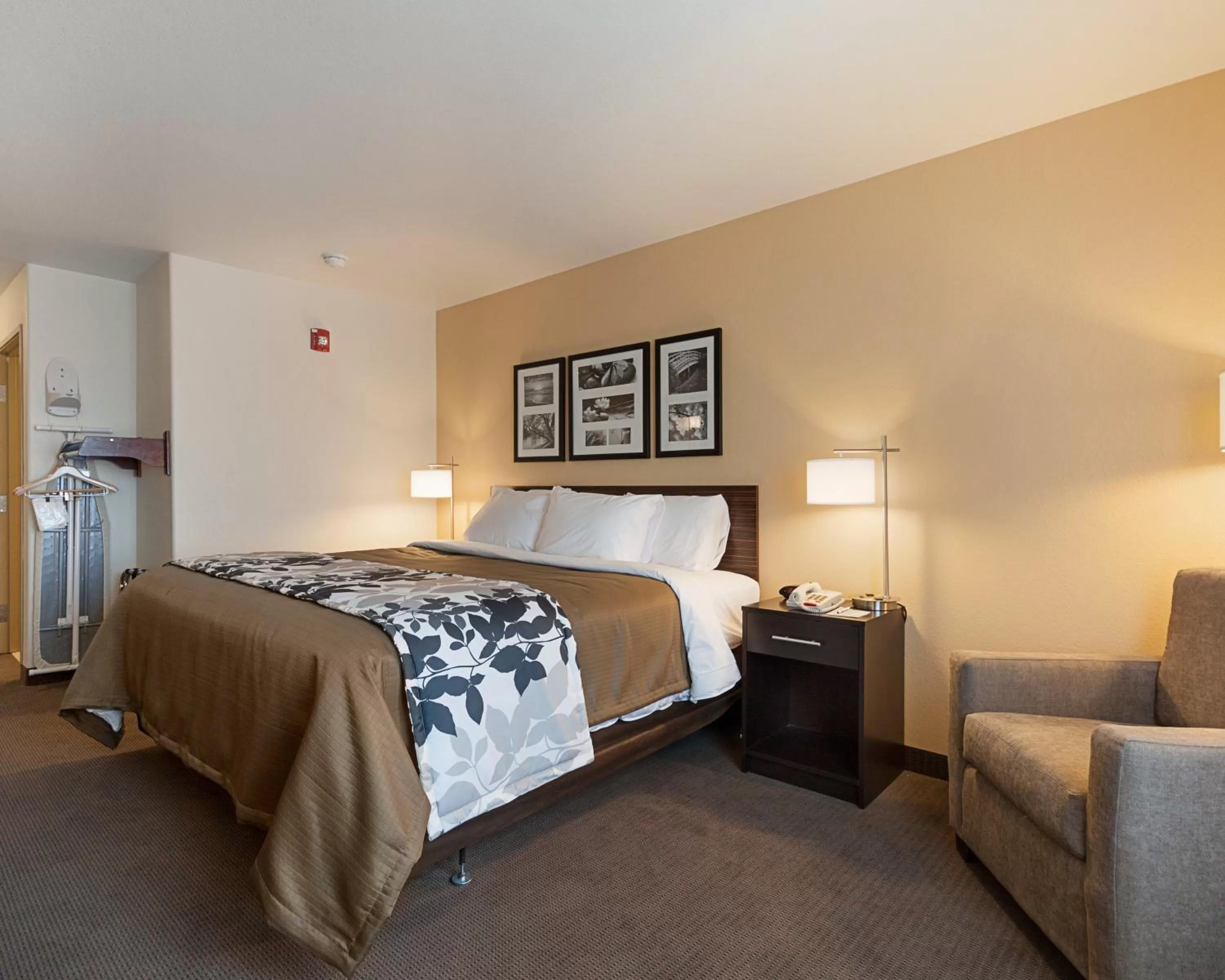 King Room with Accessible Tub - Accessible/Non-Smoking in Sleep Inn & Suites Carlsbad Caverns Area