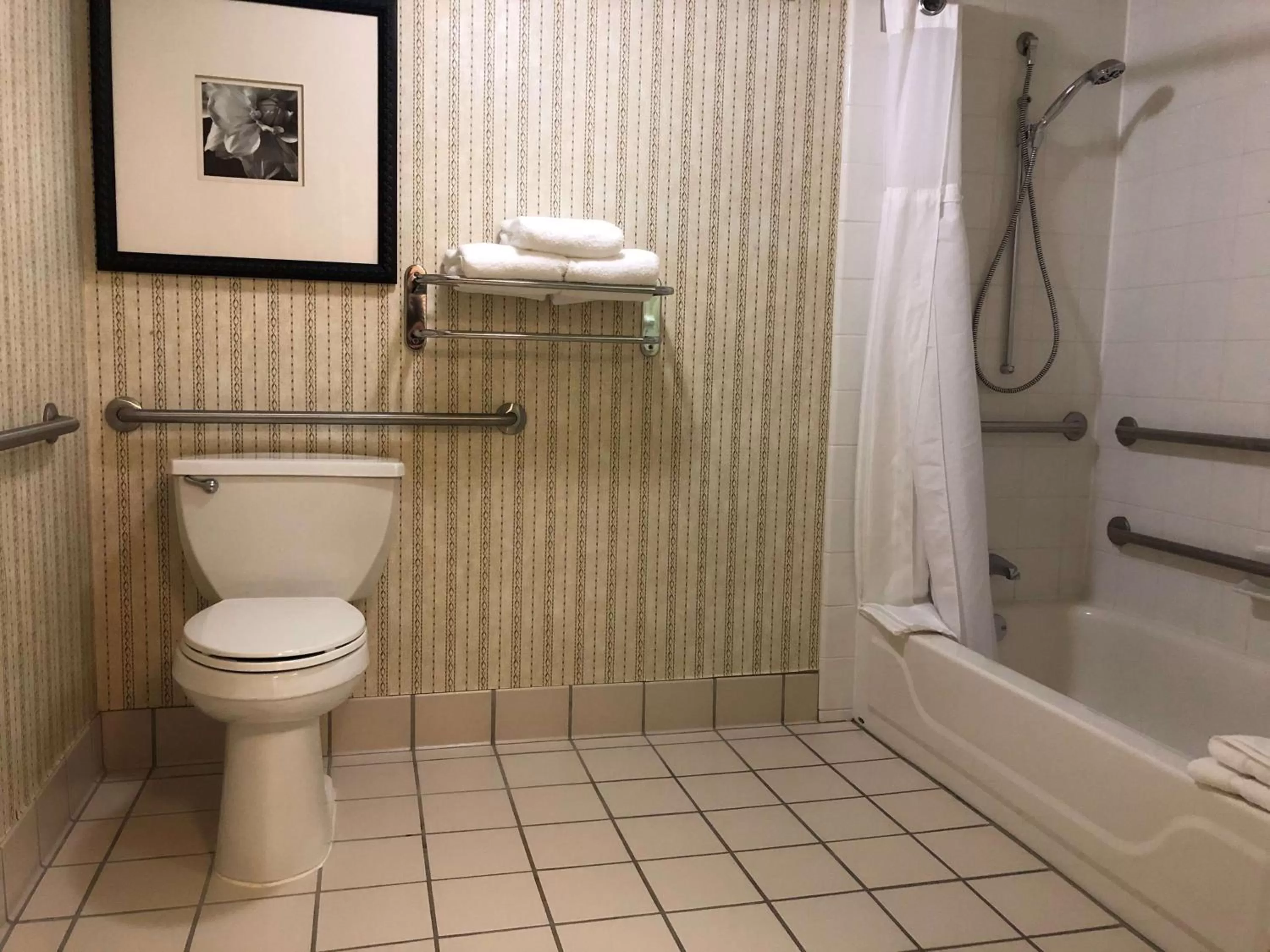 King Room with Accessible Tub - Mobility Access in Hilton Garden Inn Addison