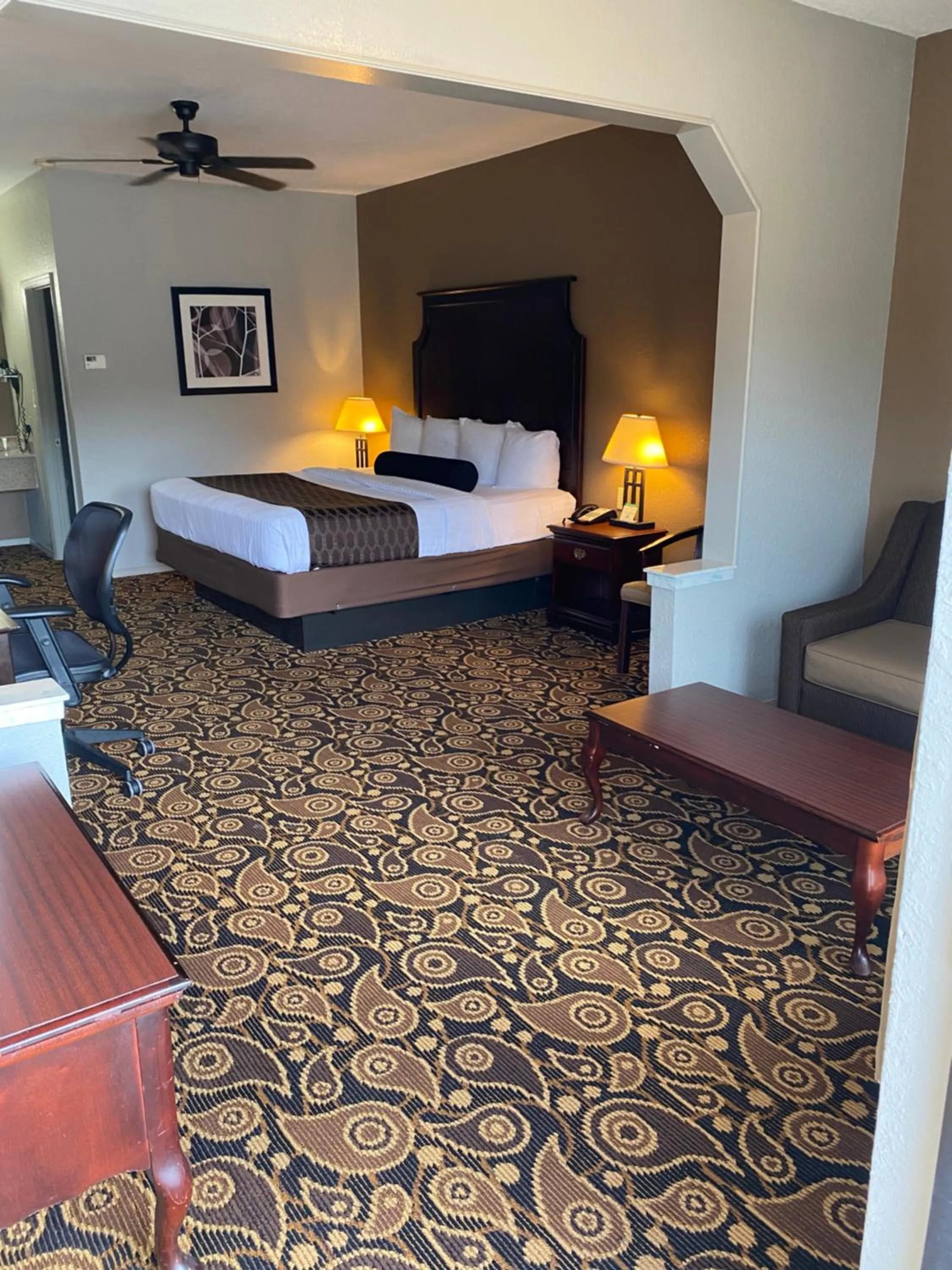 Deluxe King Suite - single occupancy in Mockingbird Inn & Suites