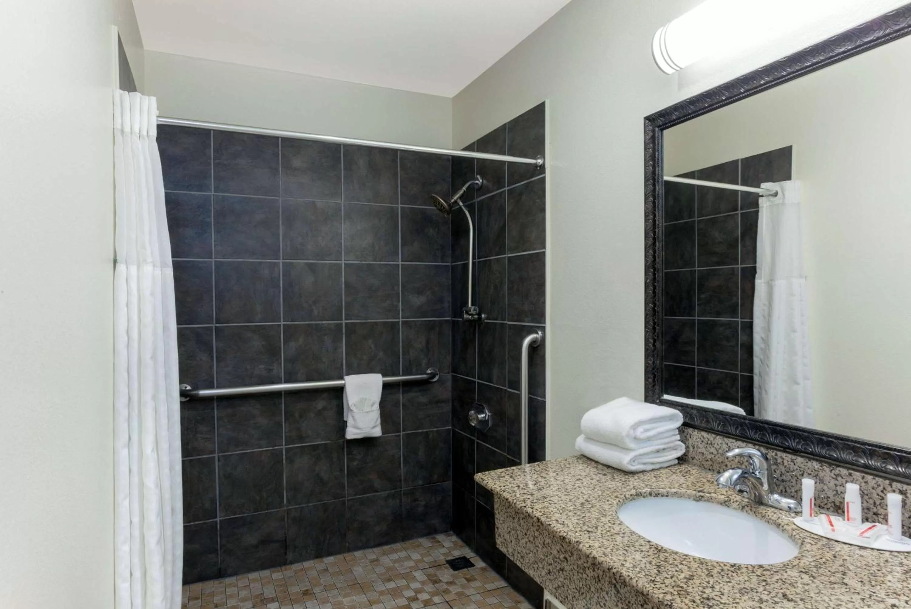 Queen Room with Roll-In Shower - Mobility/Hearing Accessible - Non-Smoking in Super 8 by Wyndham San Diego Hotel Circle