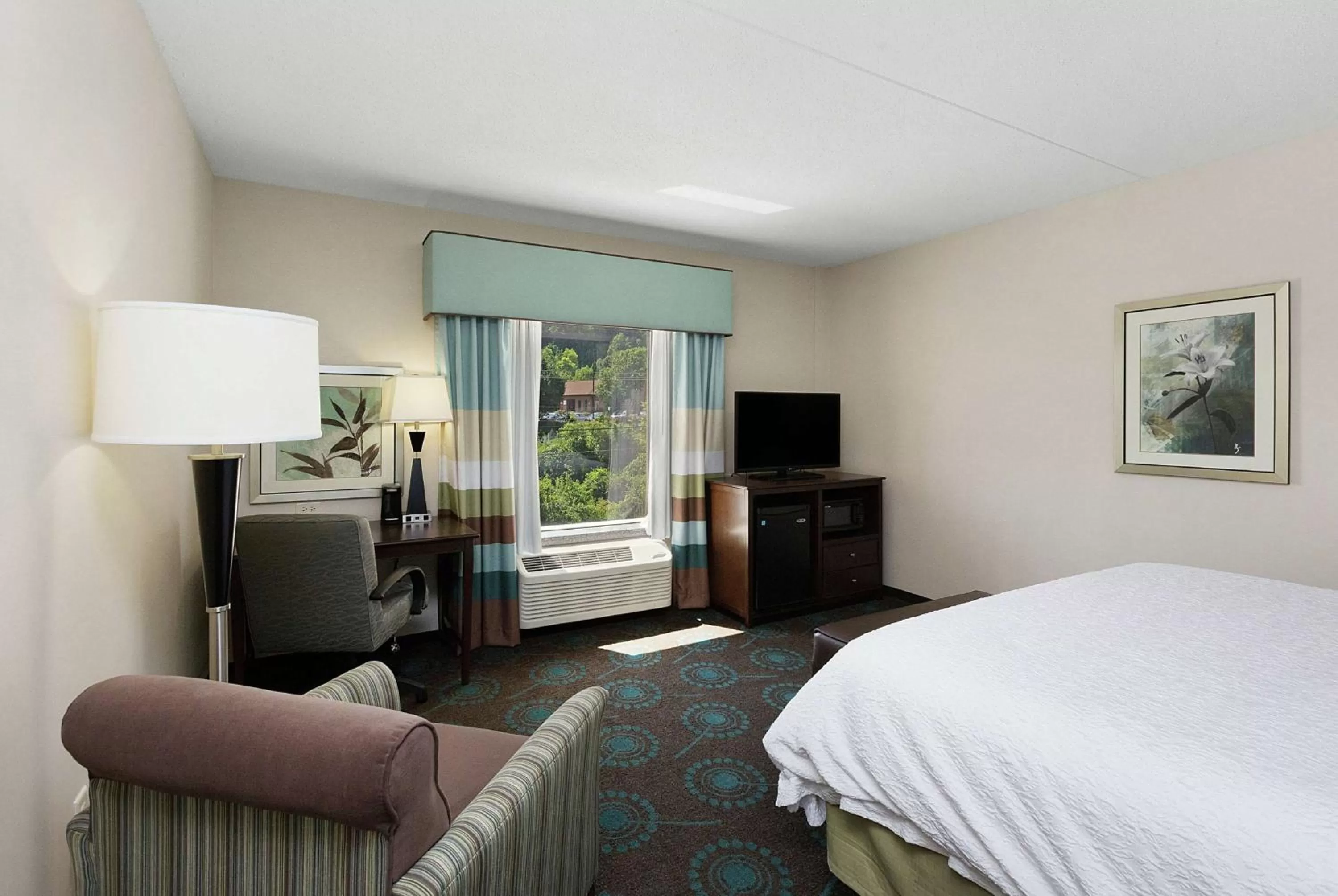 King Room - Mobility Access/Non-Smoking in Hampton Inn Bridgeville