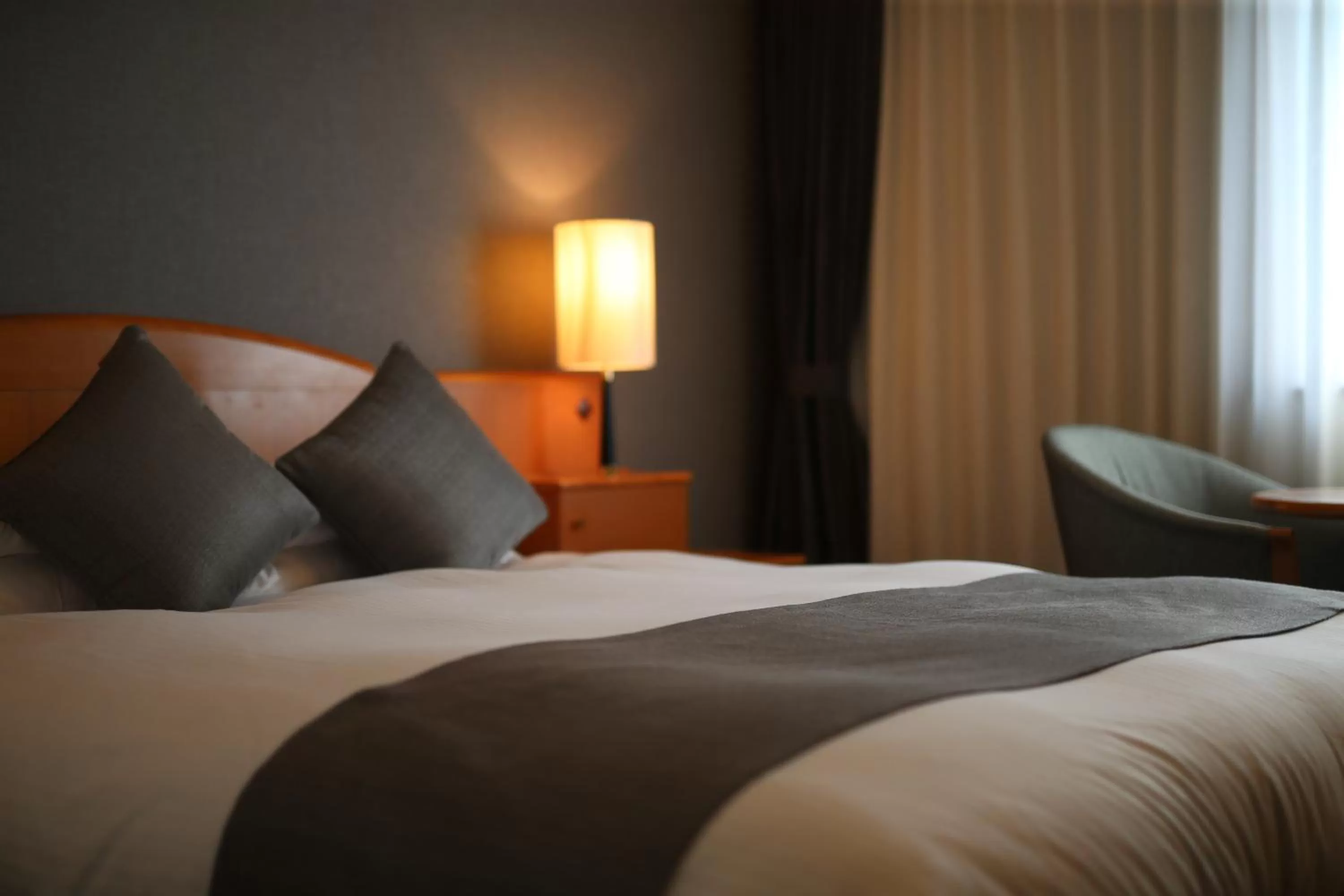 Queen Room with Park View - single occupancy - Non-Smoking in Okayama Koraku Hotel