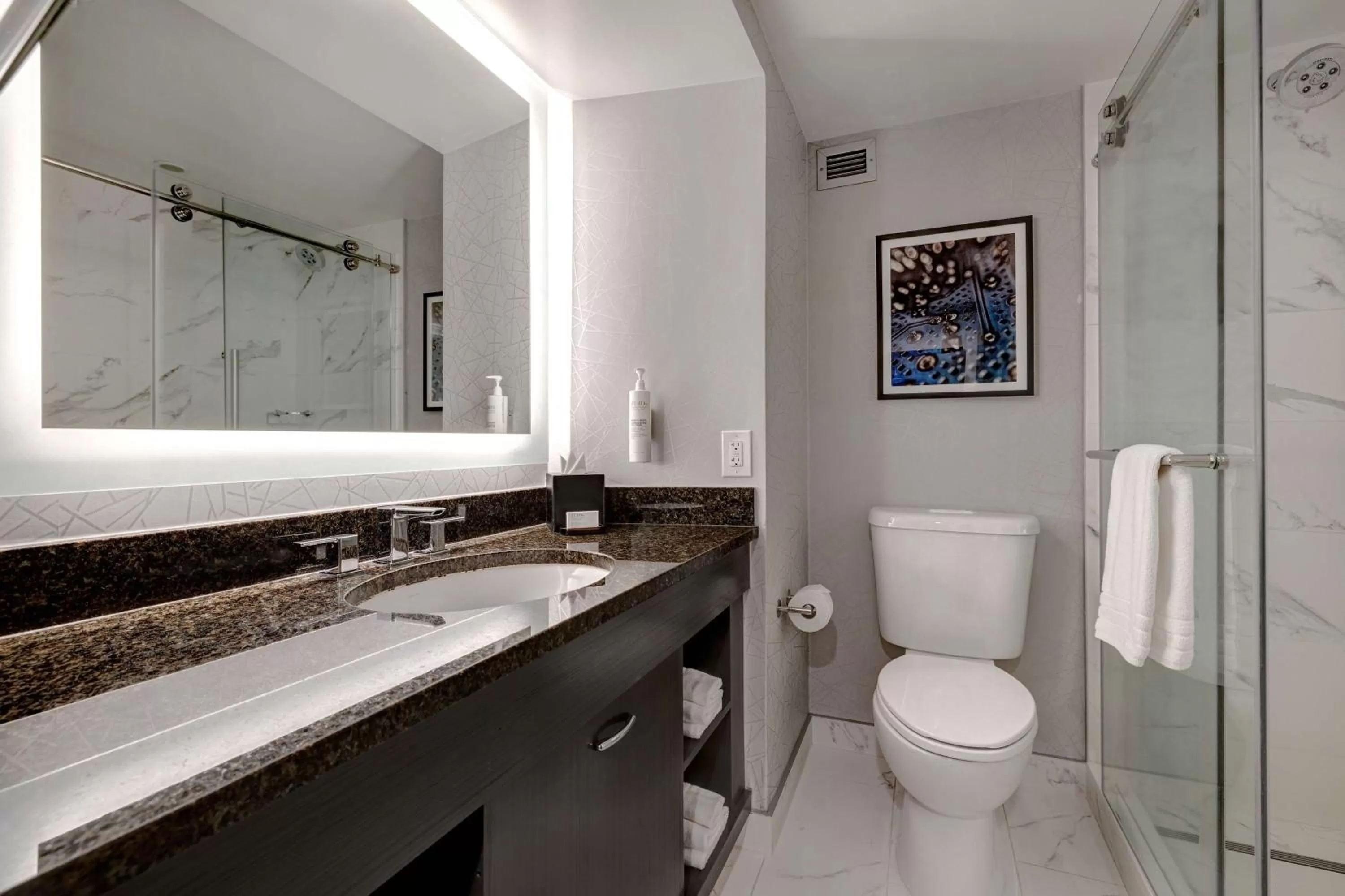 Two-Room King Suite with Mountain View in Embassy Suites by Hilton Santa Clara Silicon Valley