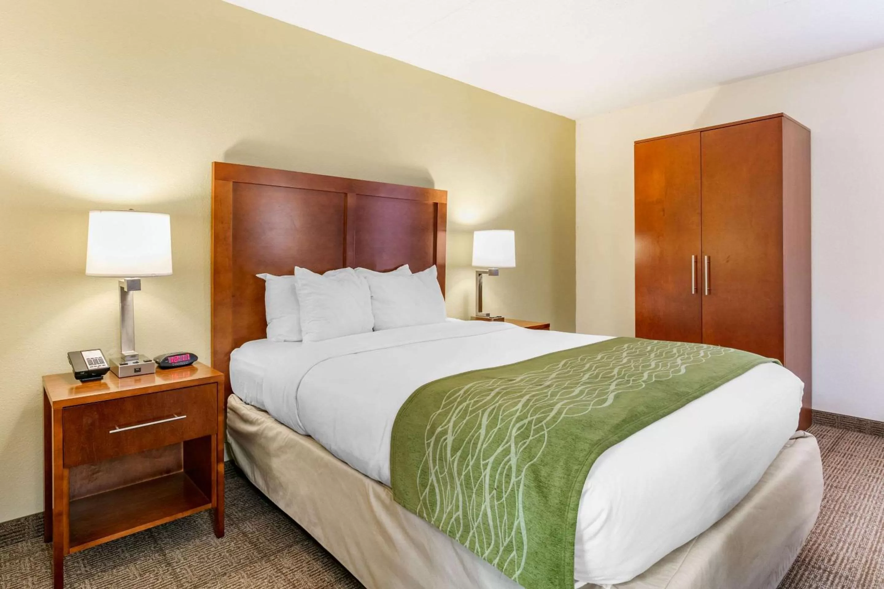 Queen Room - Disability Access/Non-Smoking in Comfort Inn Chattanooga Downtown Southside