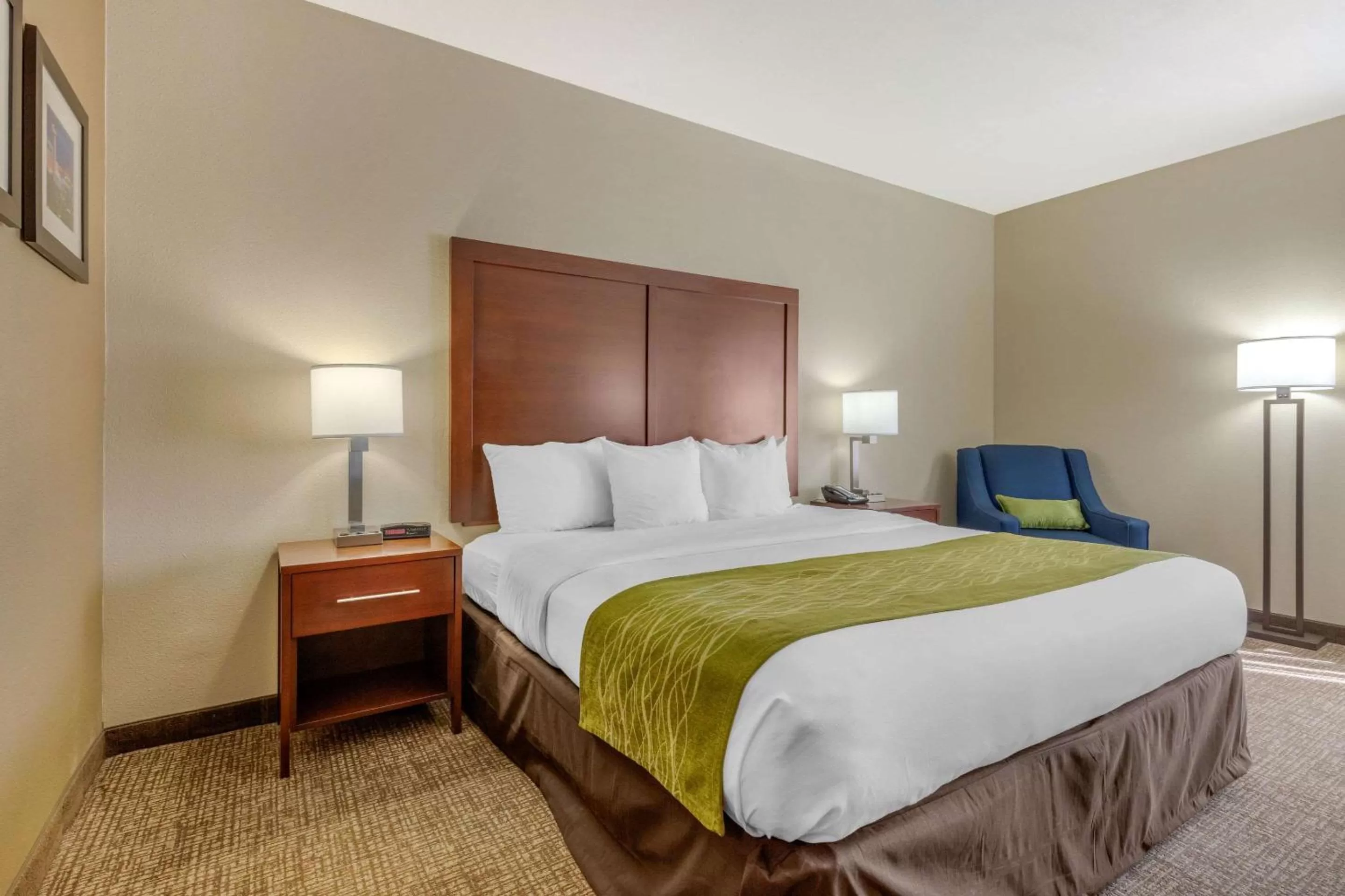 King Room with Accessible Tub - Accessible/Non-Smoking in Comfort Inn Lenoir City-Knoxville