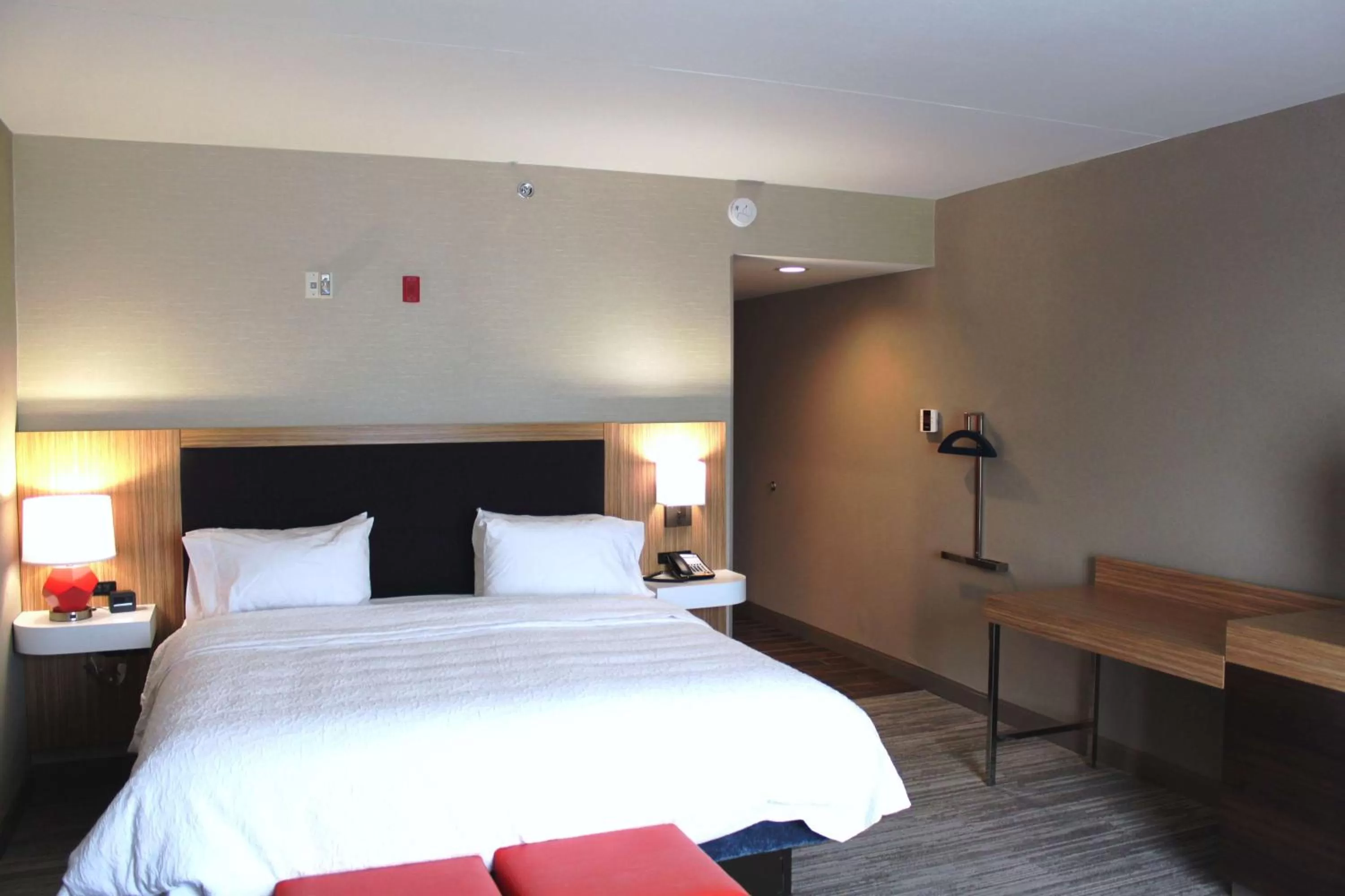 King Room with Sofa Bed - Hearing Accessible/Non-Smoking in Hampton Inn Forsyth