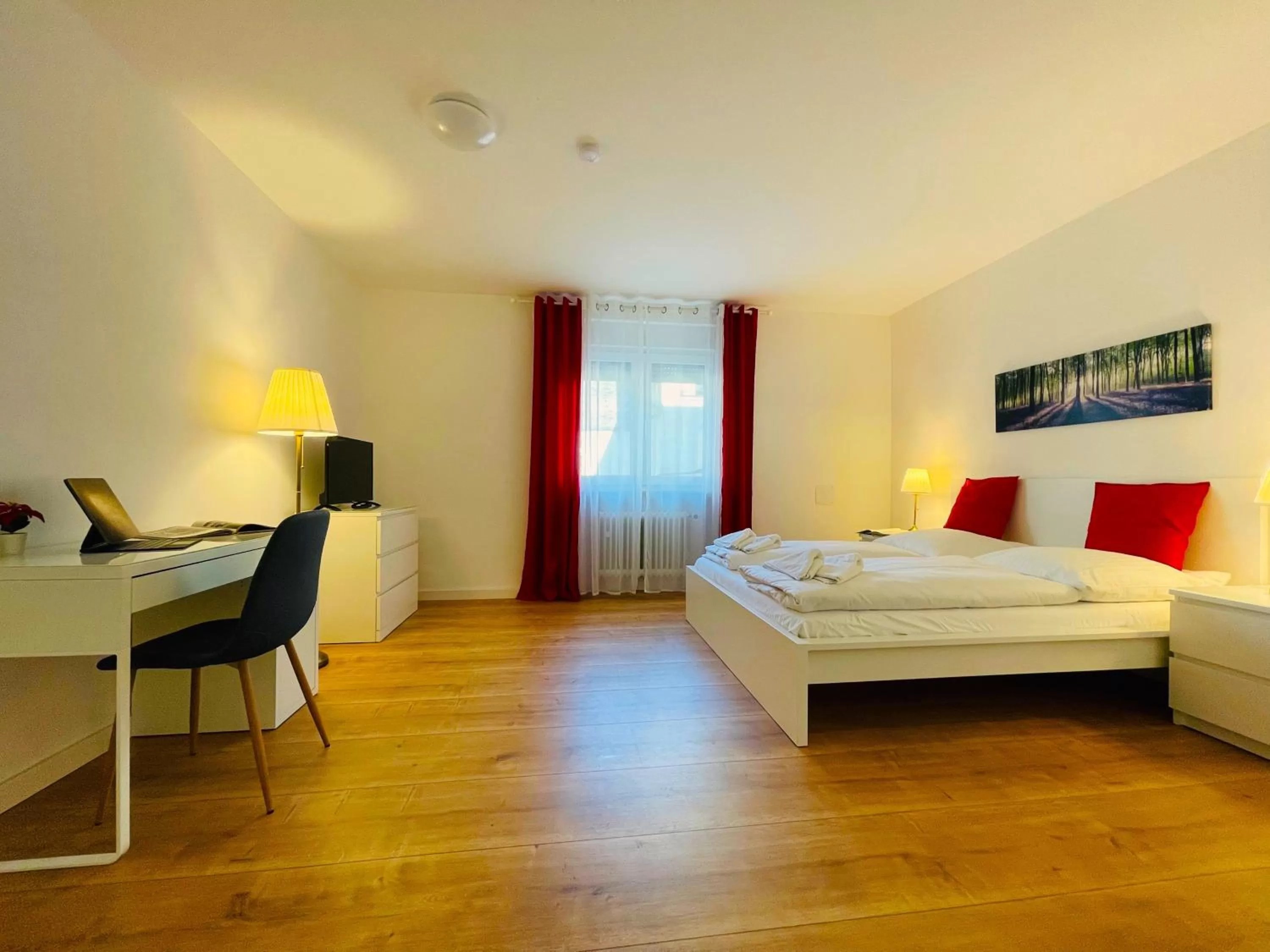 Double Room in Hotel Moguntia