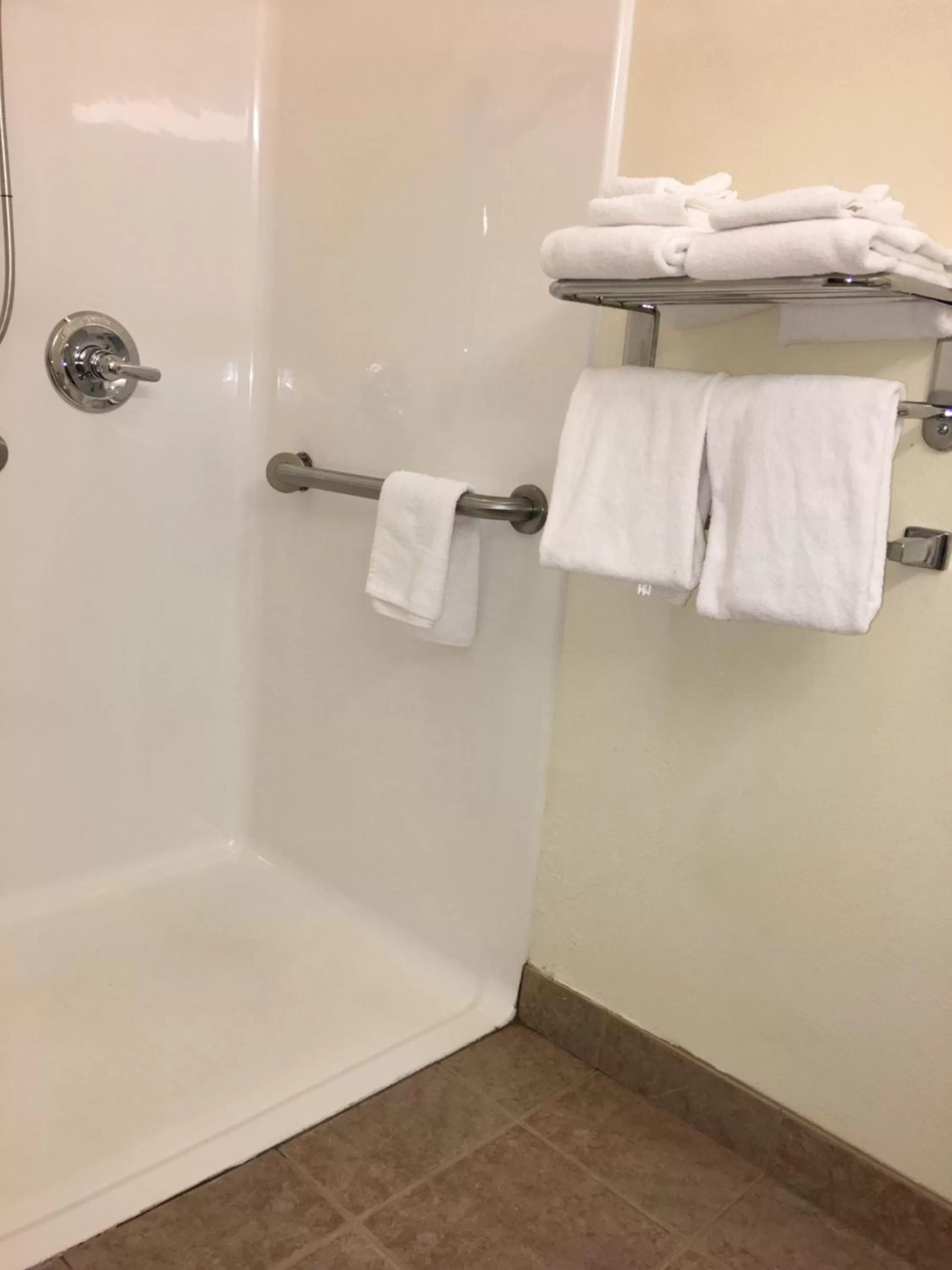 Queen Room with Two Queen Beds - Disability Access/Non-Smoking in Microtel Inn & Suites by Wyndham Indianapolis Airport