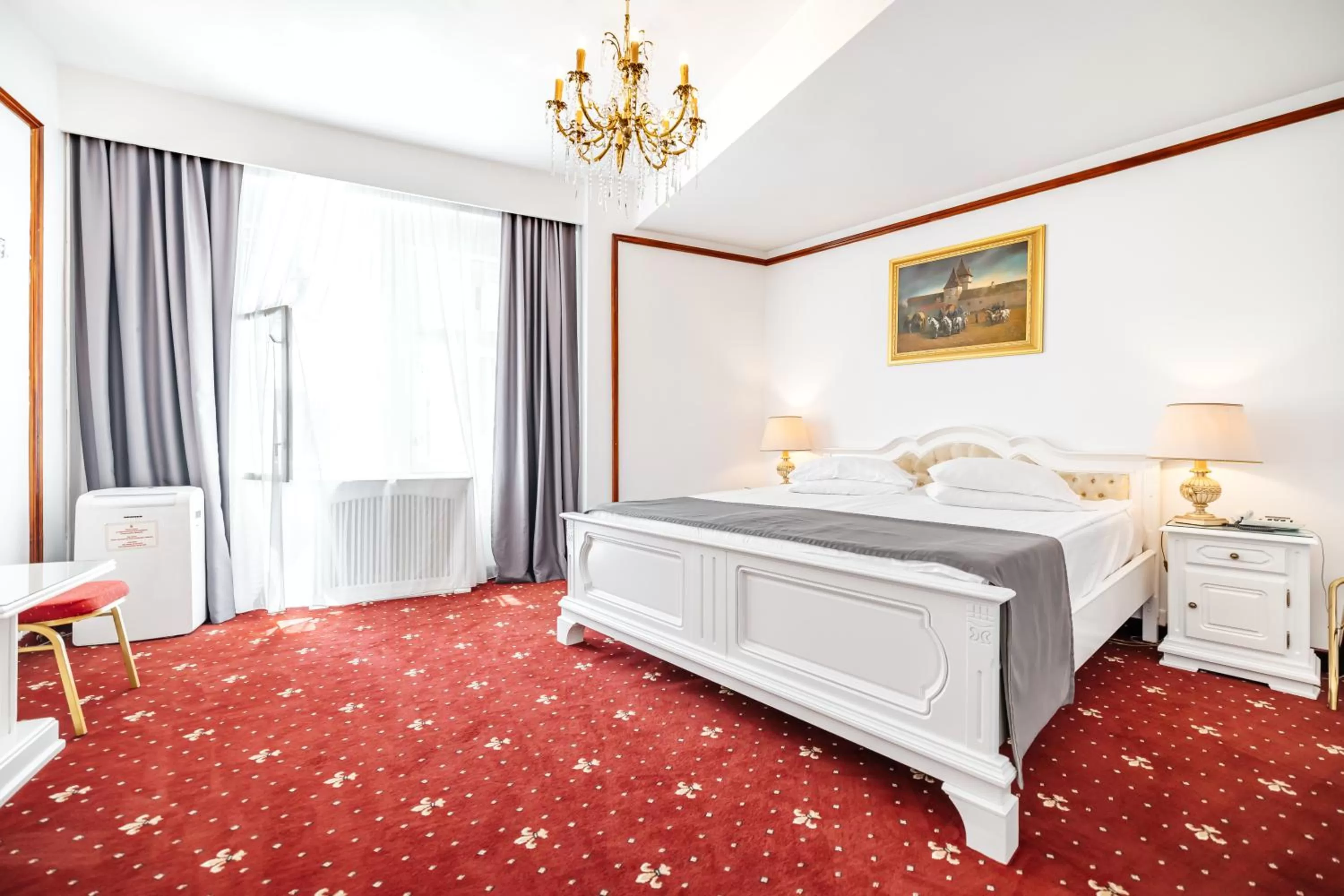 Superior Double Room - single occupancy in Hotel Imparatul Romanilor Hotel & SPA