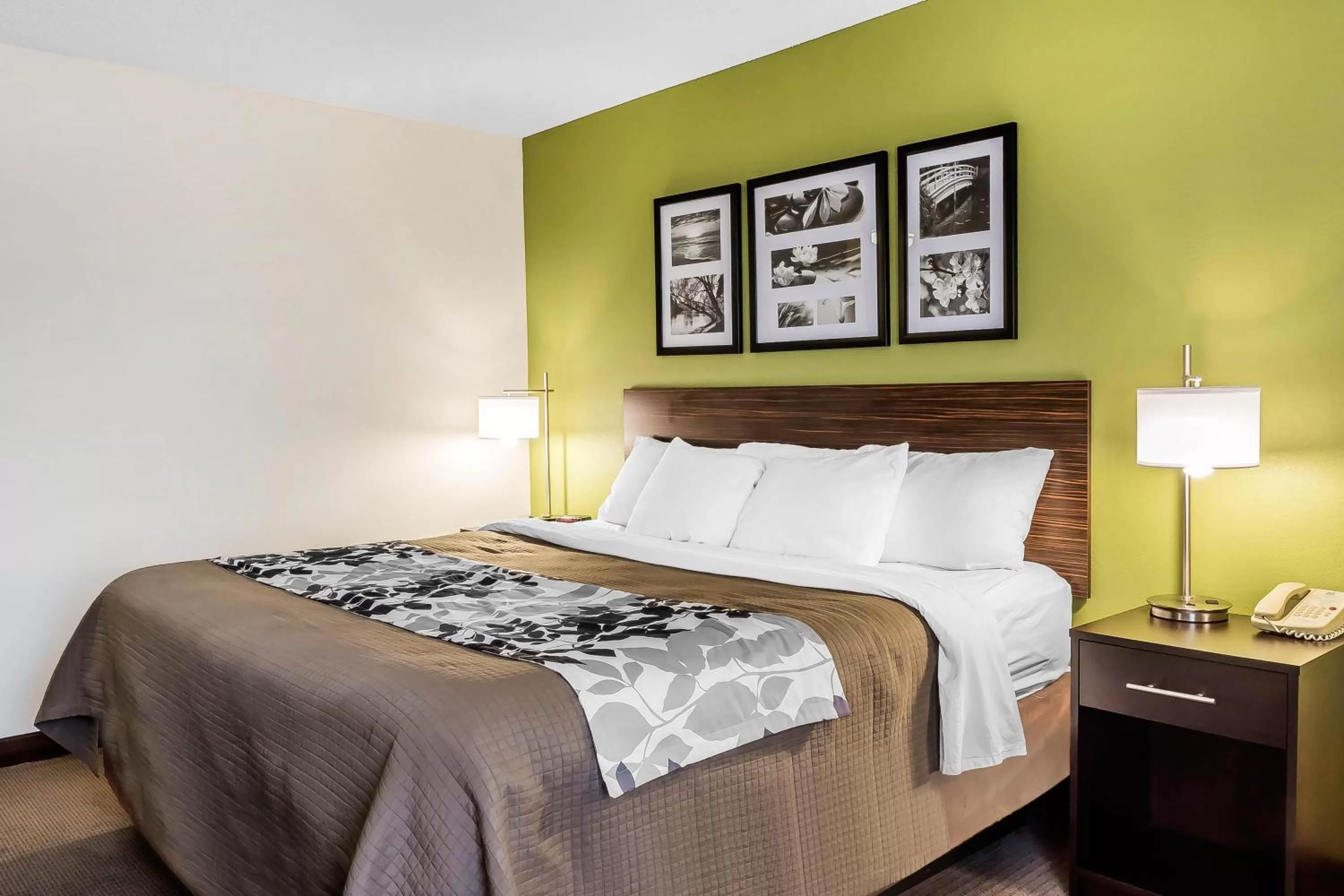 King Room in Sleep Inn & Suites Dothan North