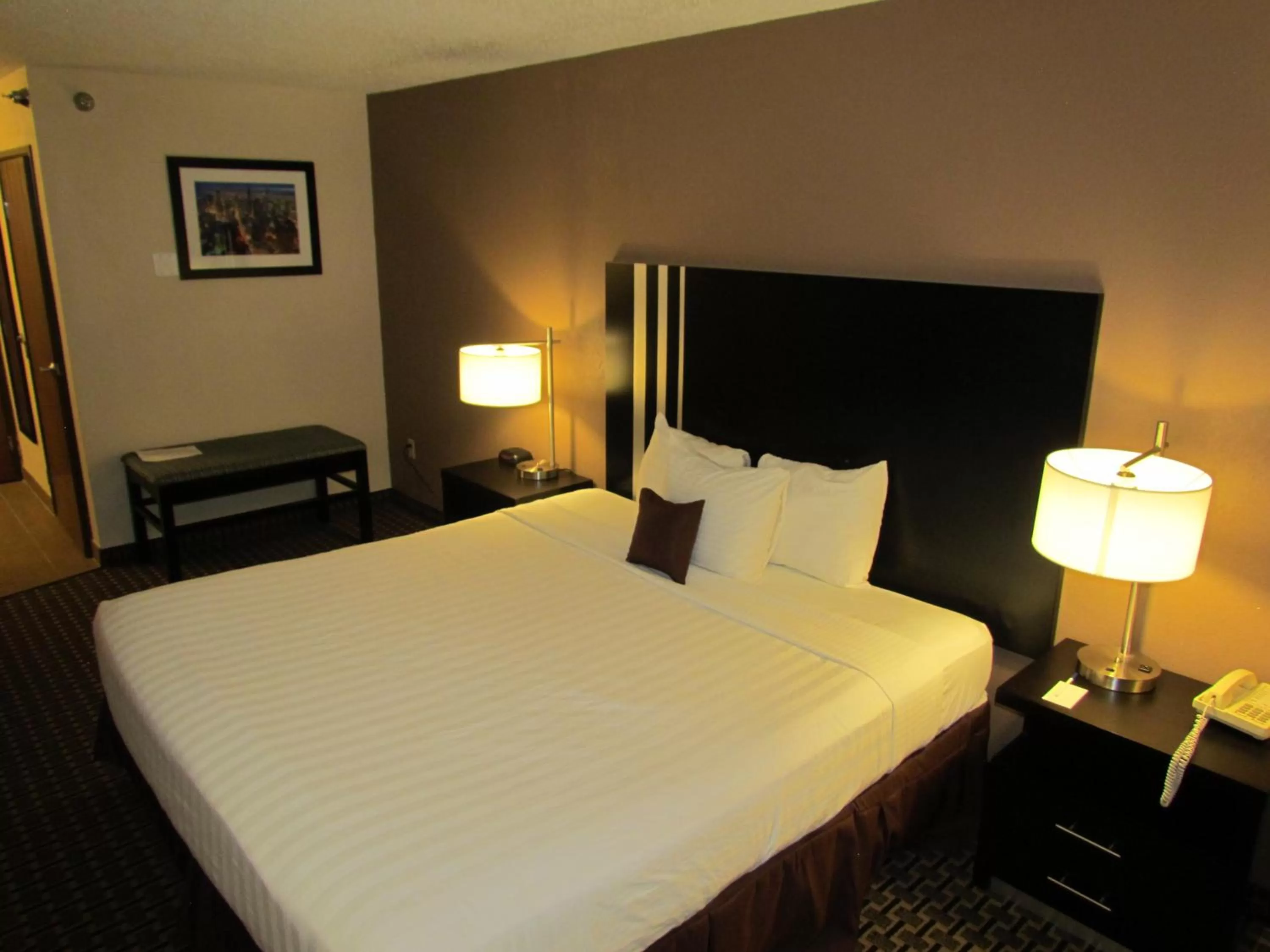 King Room - Non-Smoking in Ramada by Wyndham Glendale Heights/Lombard