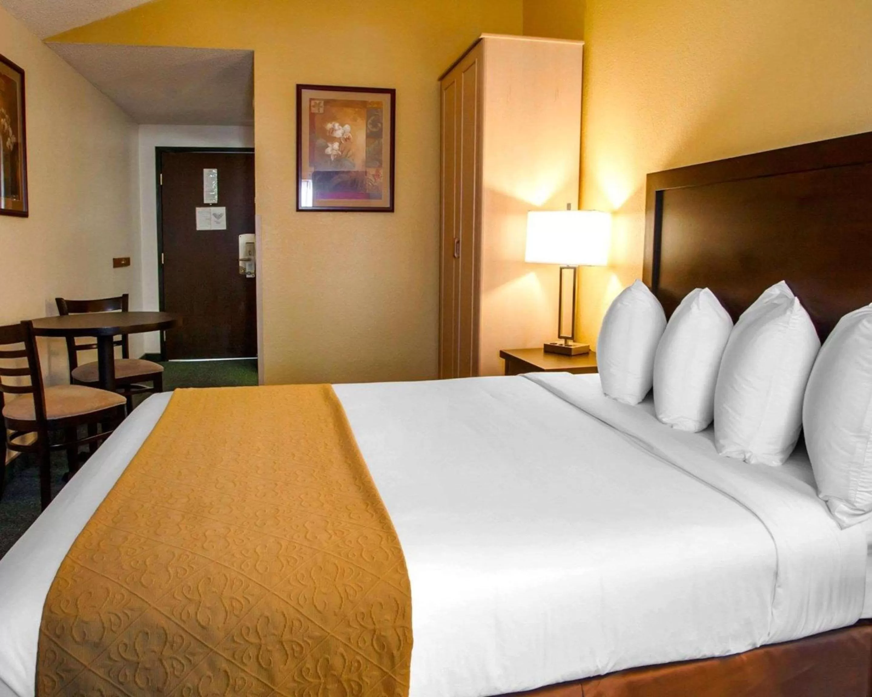 Queen Room - Non-Smoking in Quality Inn & Suites Springfield - Eugene North