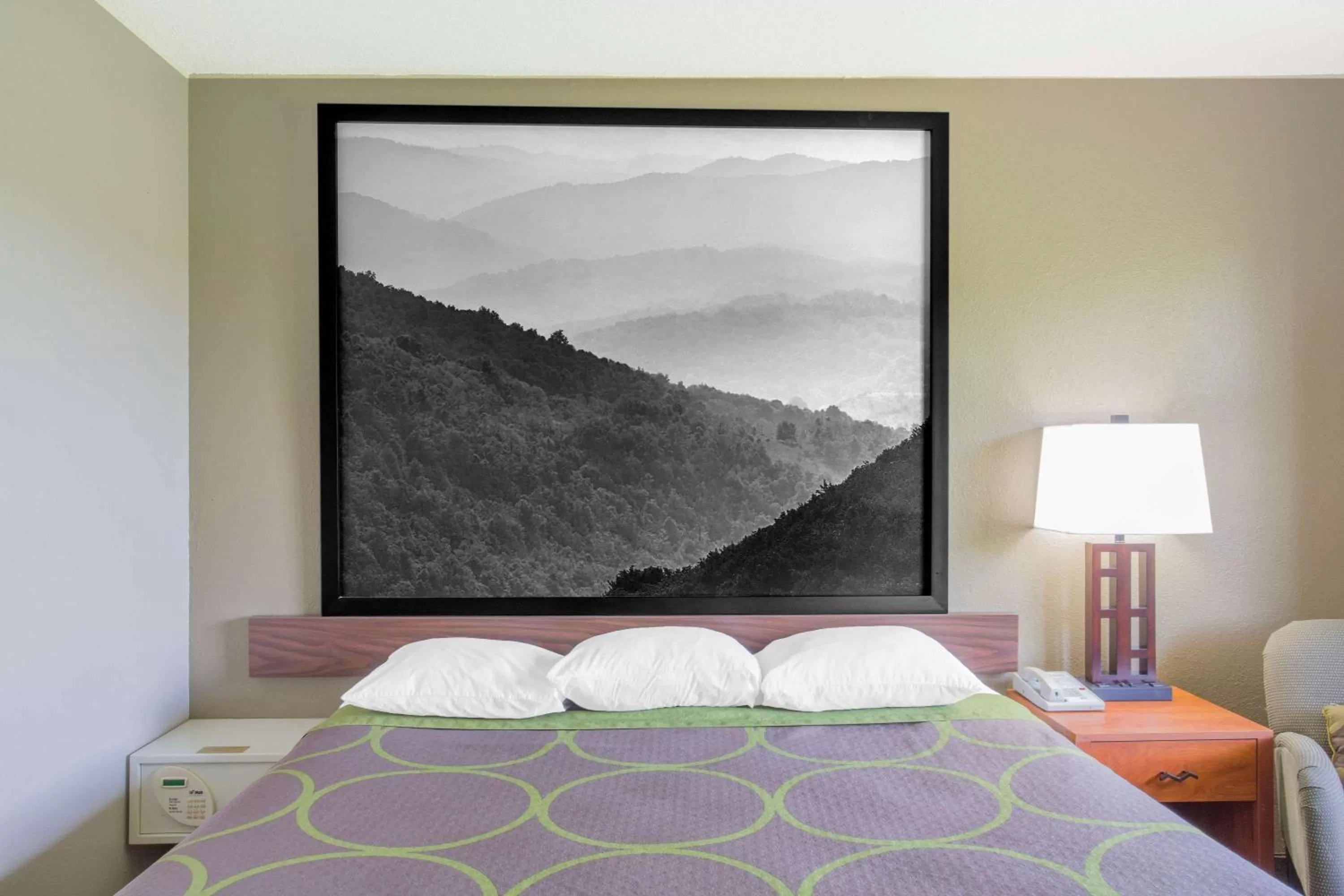 Queen Room - Non-Smoking in Super 8 by Wyndham Abingdon VA