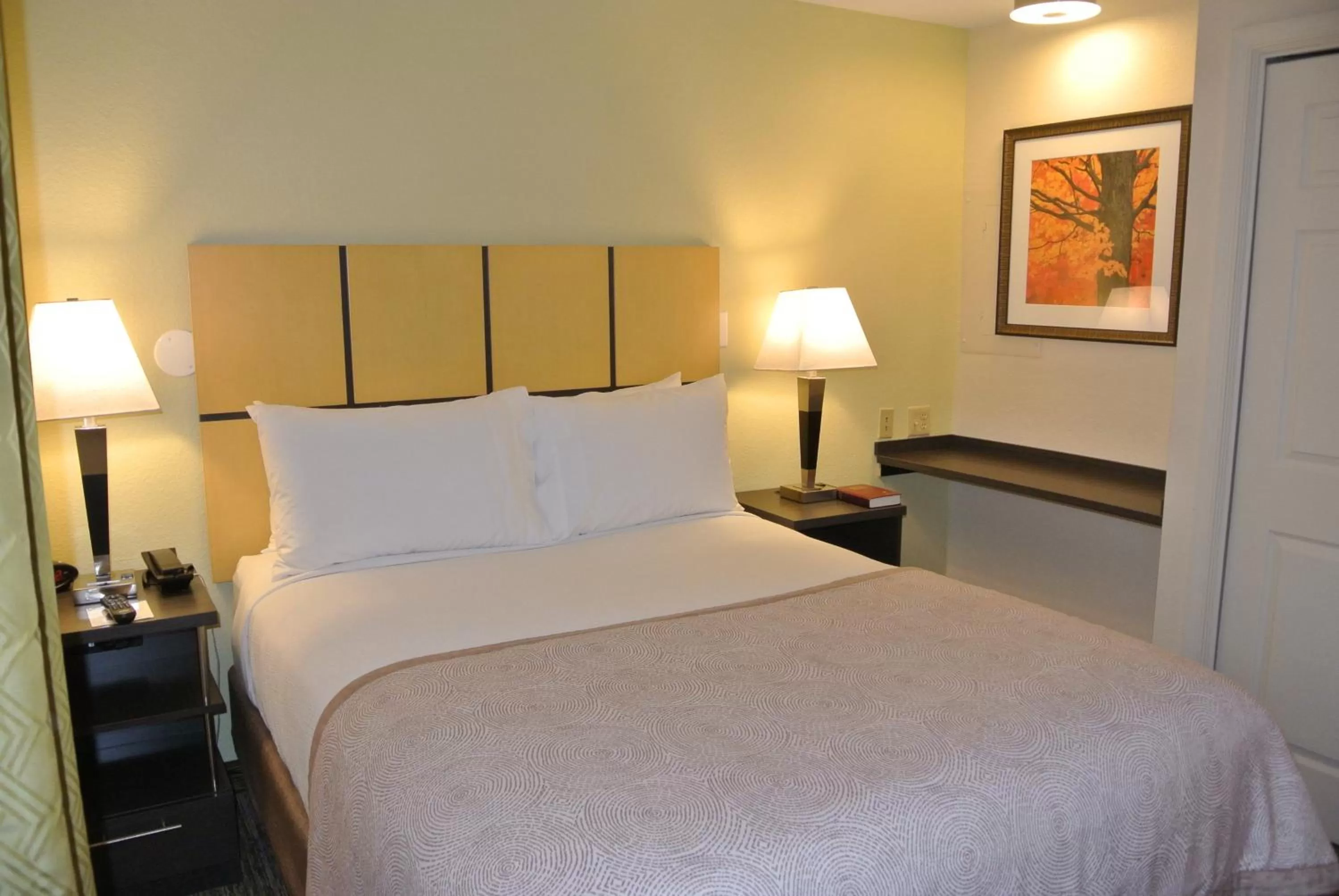 Studio Queen Suite - Non-Smoking in Candlewood Suites Washington-Fairfax by IHG