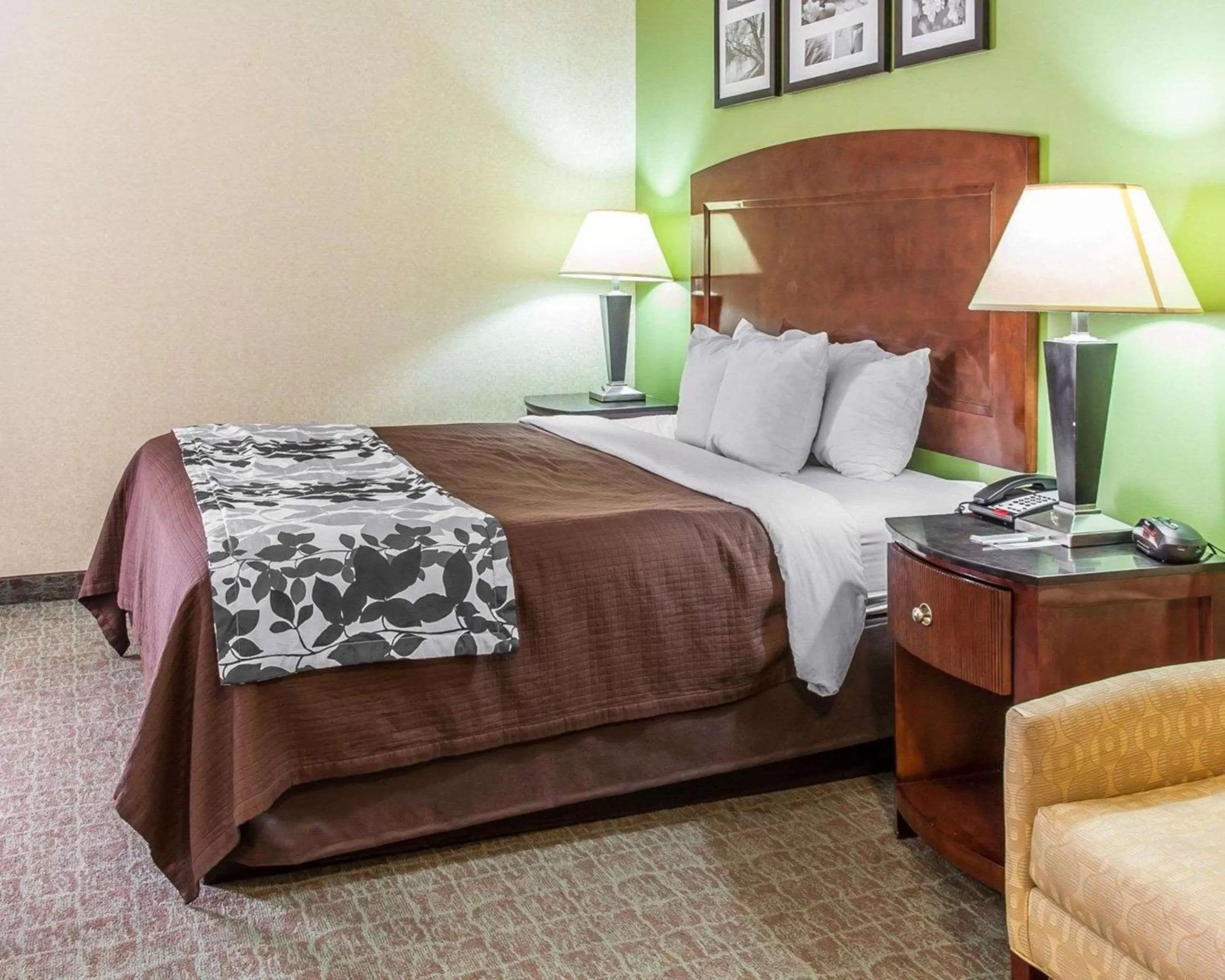 Standard King Room in Sleep Inn & Suites near Joint Base Andrews-Washington Area