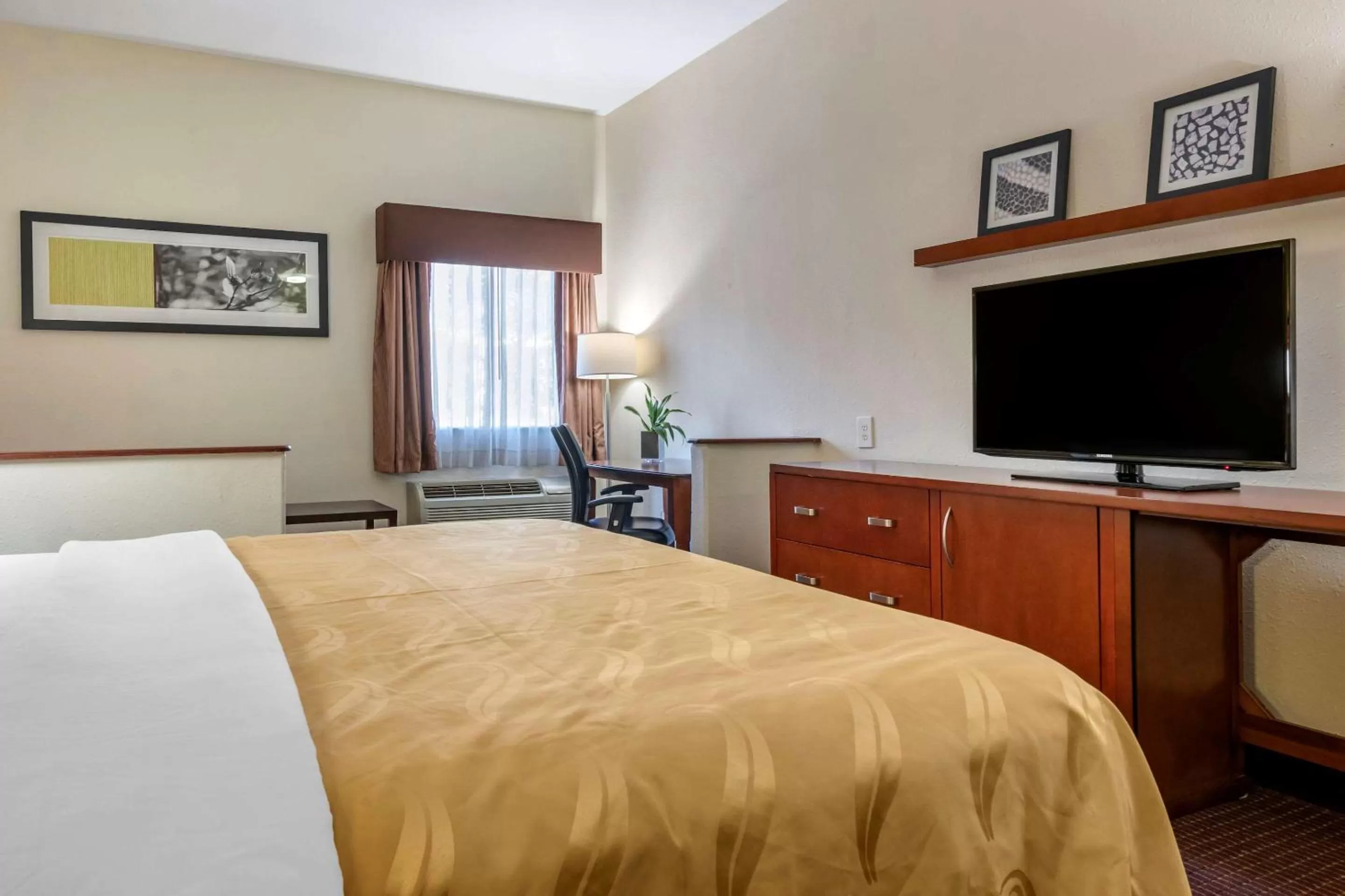 King Room - Accessible/Non-Smoking in Quality Inn Zephyrhills-Dade City