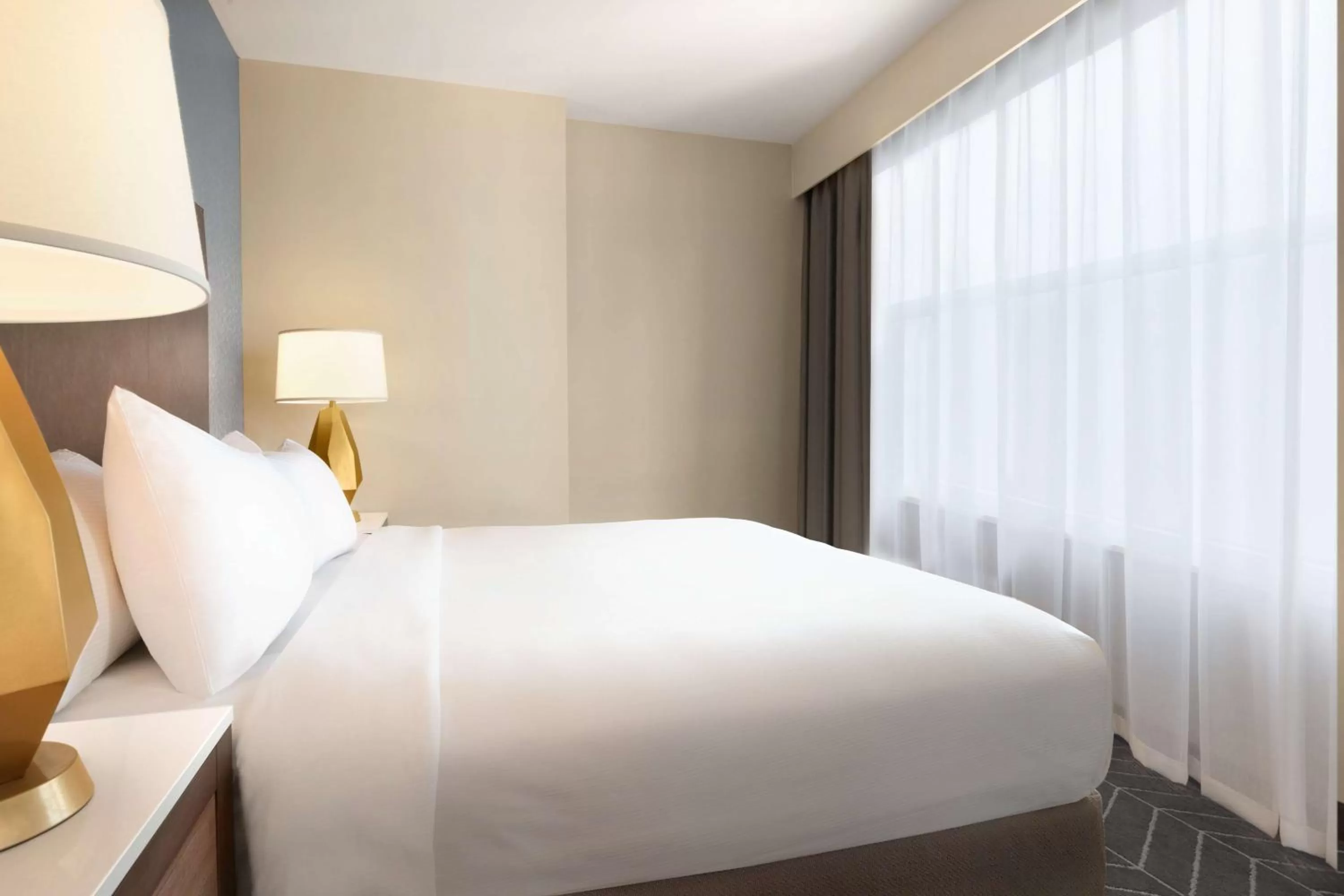 King Suite with Accessible Tub - Mobility Access in Embassy Suites By Hilton Wilmington Riverfront