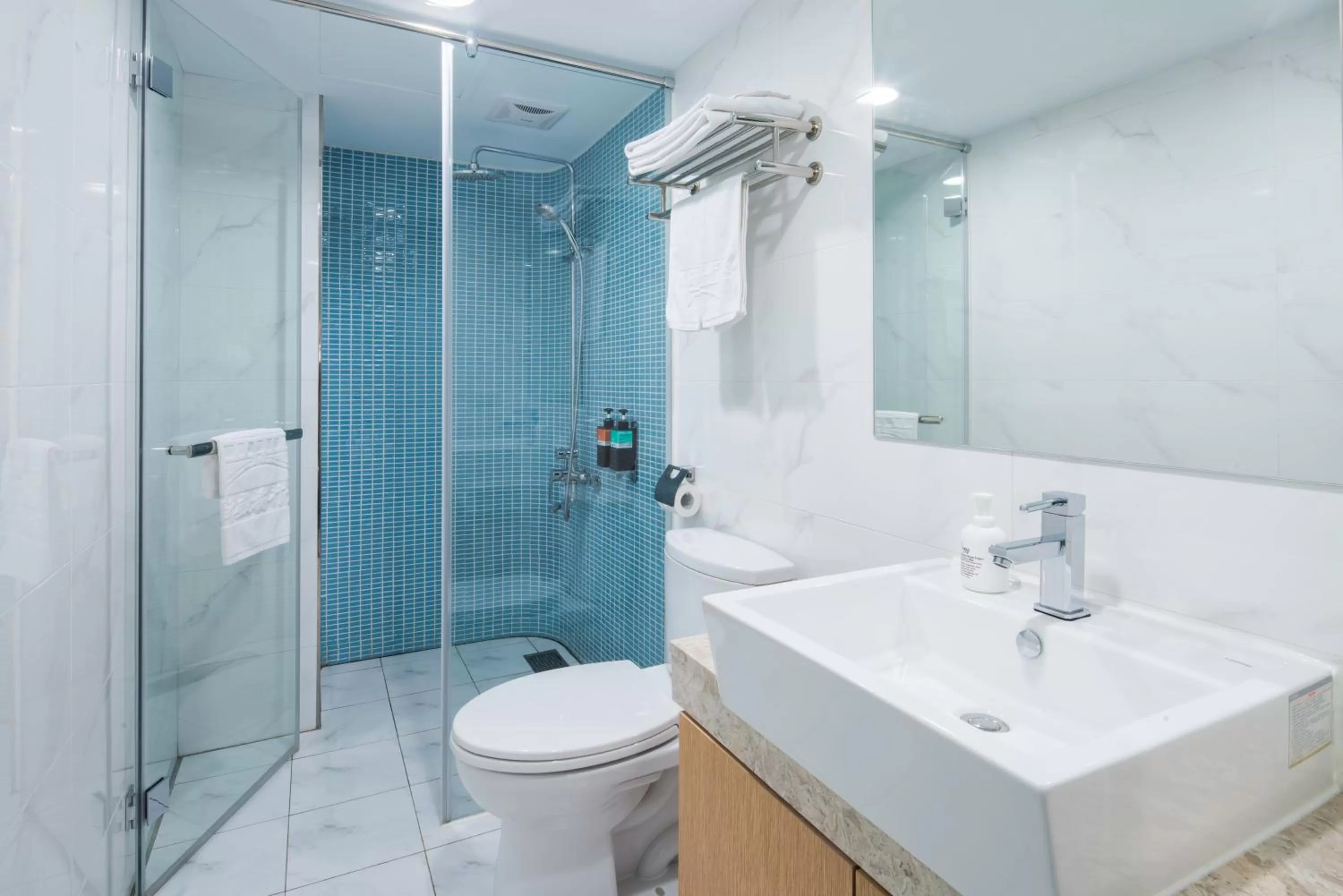 Standard Double Room without Window in Shin Sei Bashi Hotel