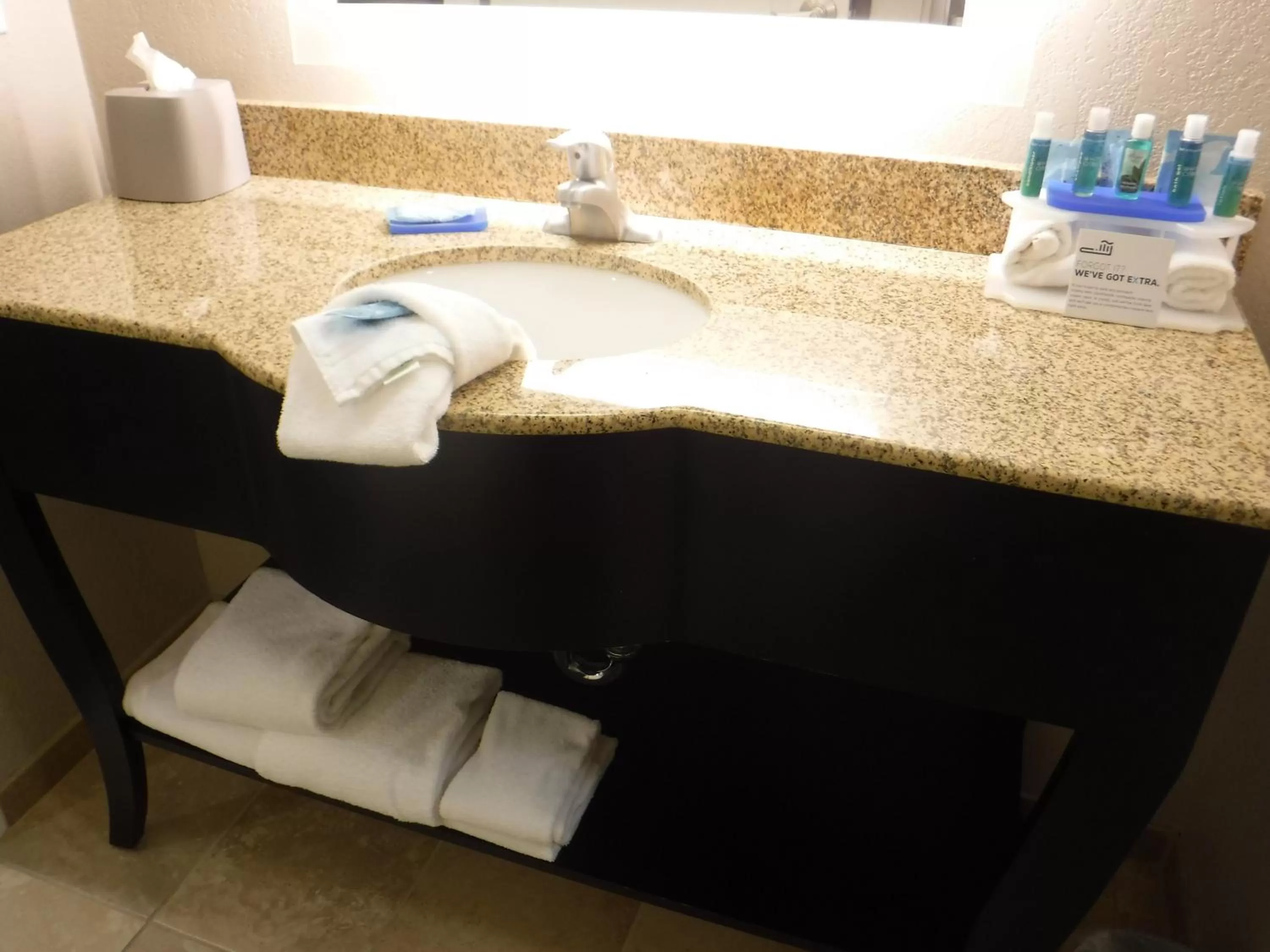 Premium King Room with Sofa Bed in Holiday Inn Express West Jefferson by IHG