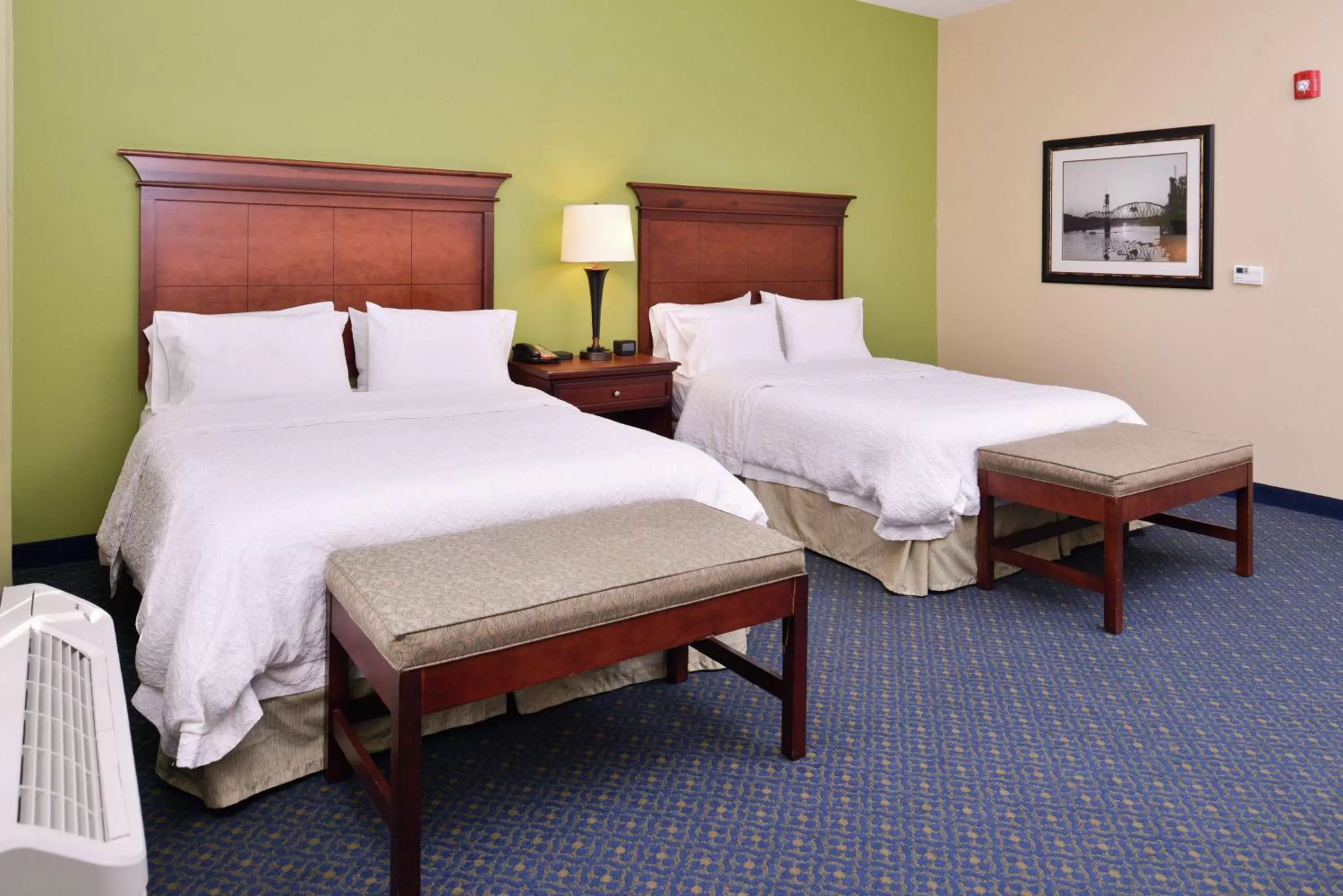 Queen Room with Two Queen Beds - Mobility and Hearing Access/Non-Smoking in Hampton Inn Jackson-College Avenue
