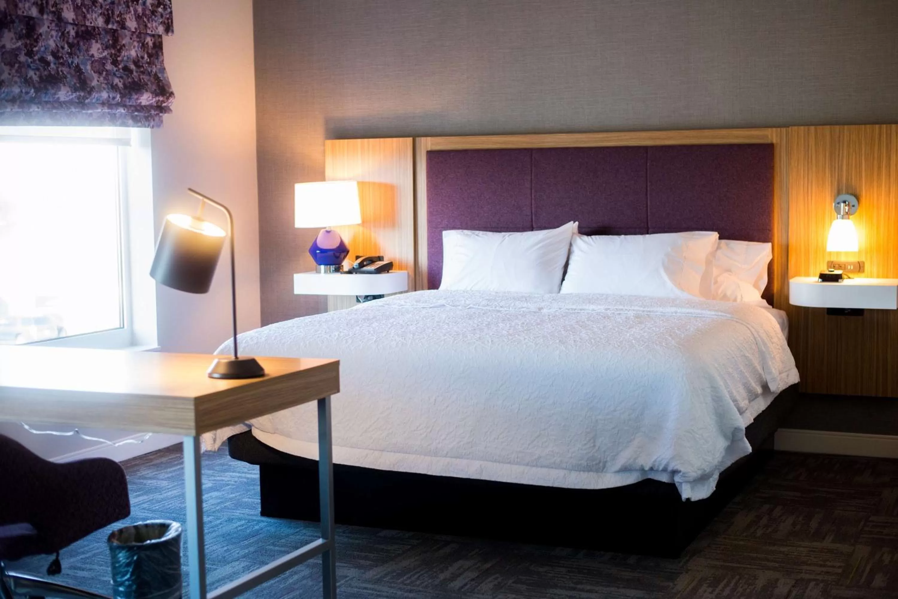 King Studio - Hearing Accessible  in Hampton Inn & Suites Warrington Horsham