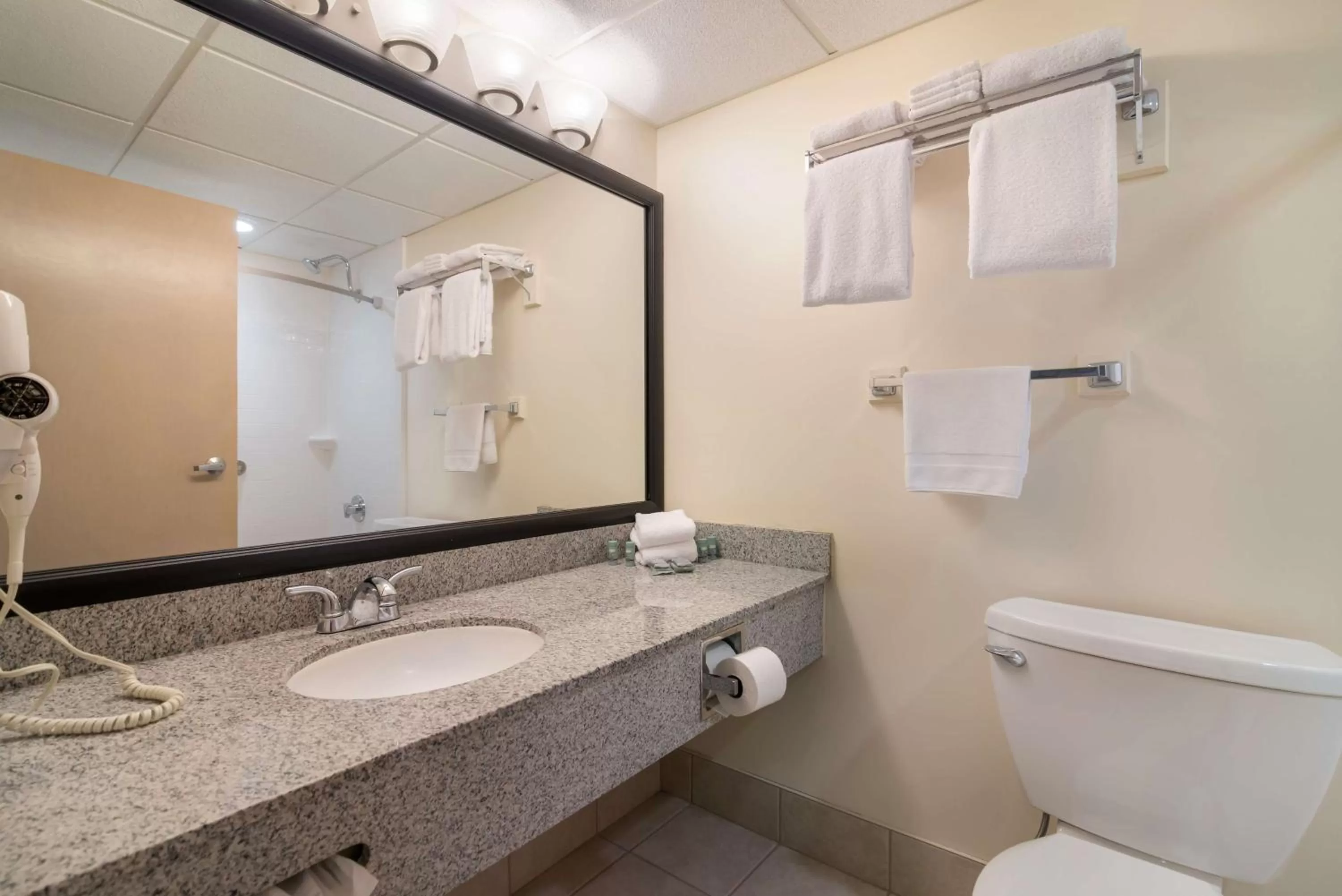 King Room with Mobility Accessible Roll-In Shower - Non-Smoking in Best Western Saranac Lake