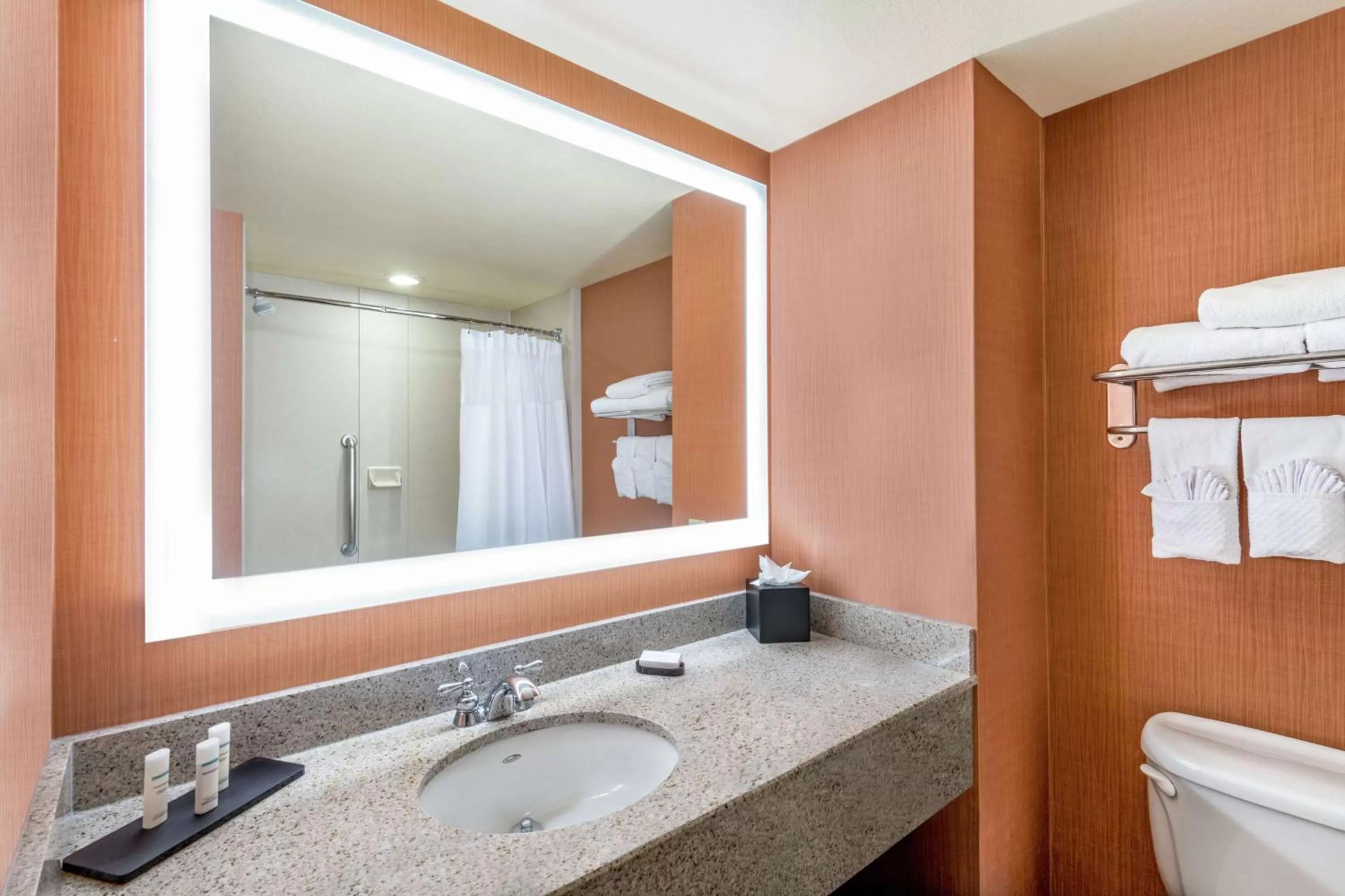 Suite with Two Queen Beds - Mobility and Hearing Access/Non-Smoking in Embassy Suites by Hilton Saint Louis Saint Charles