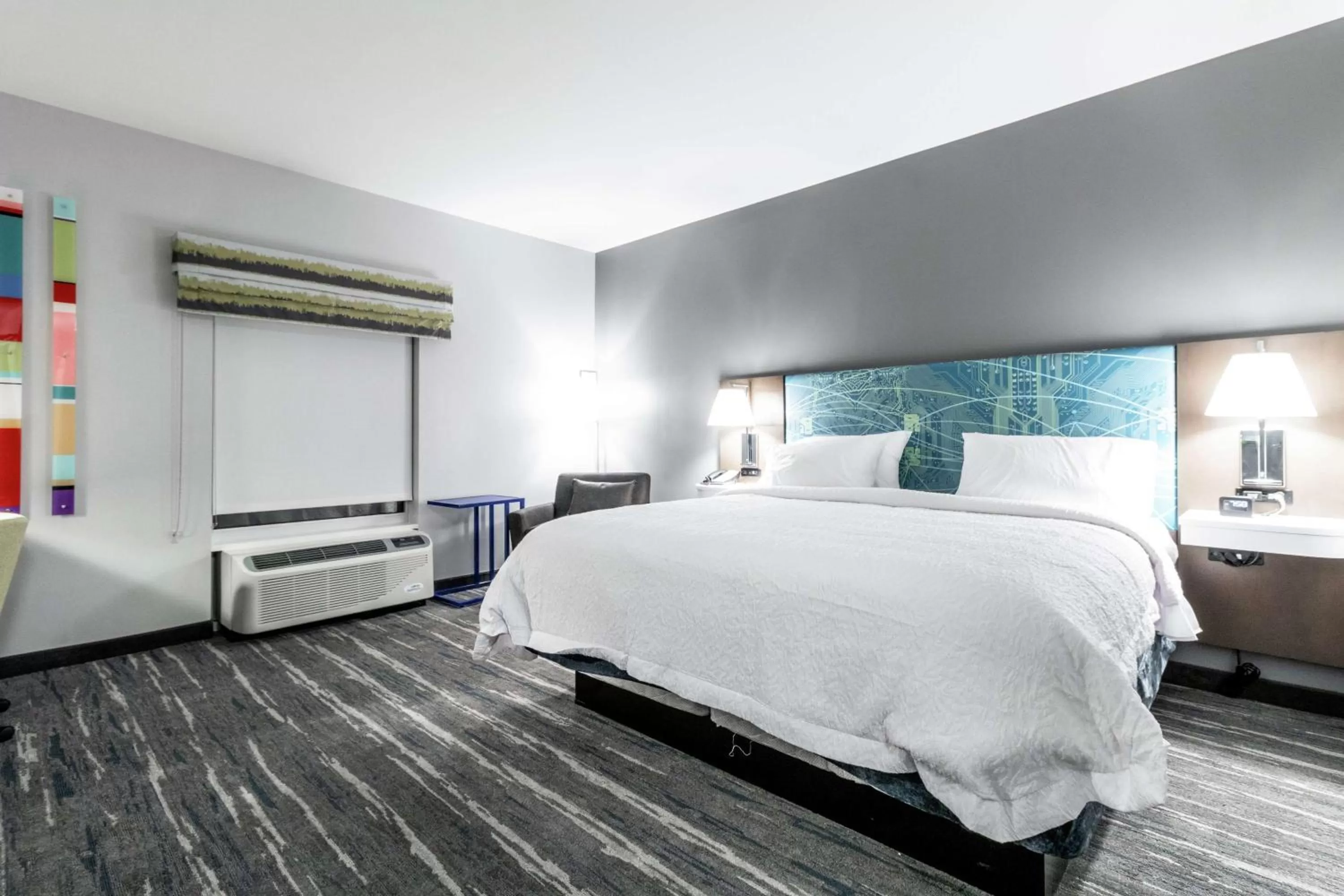 King Room in Hampton Inn Locust Grove